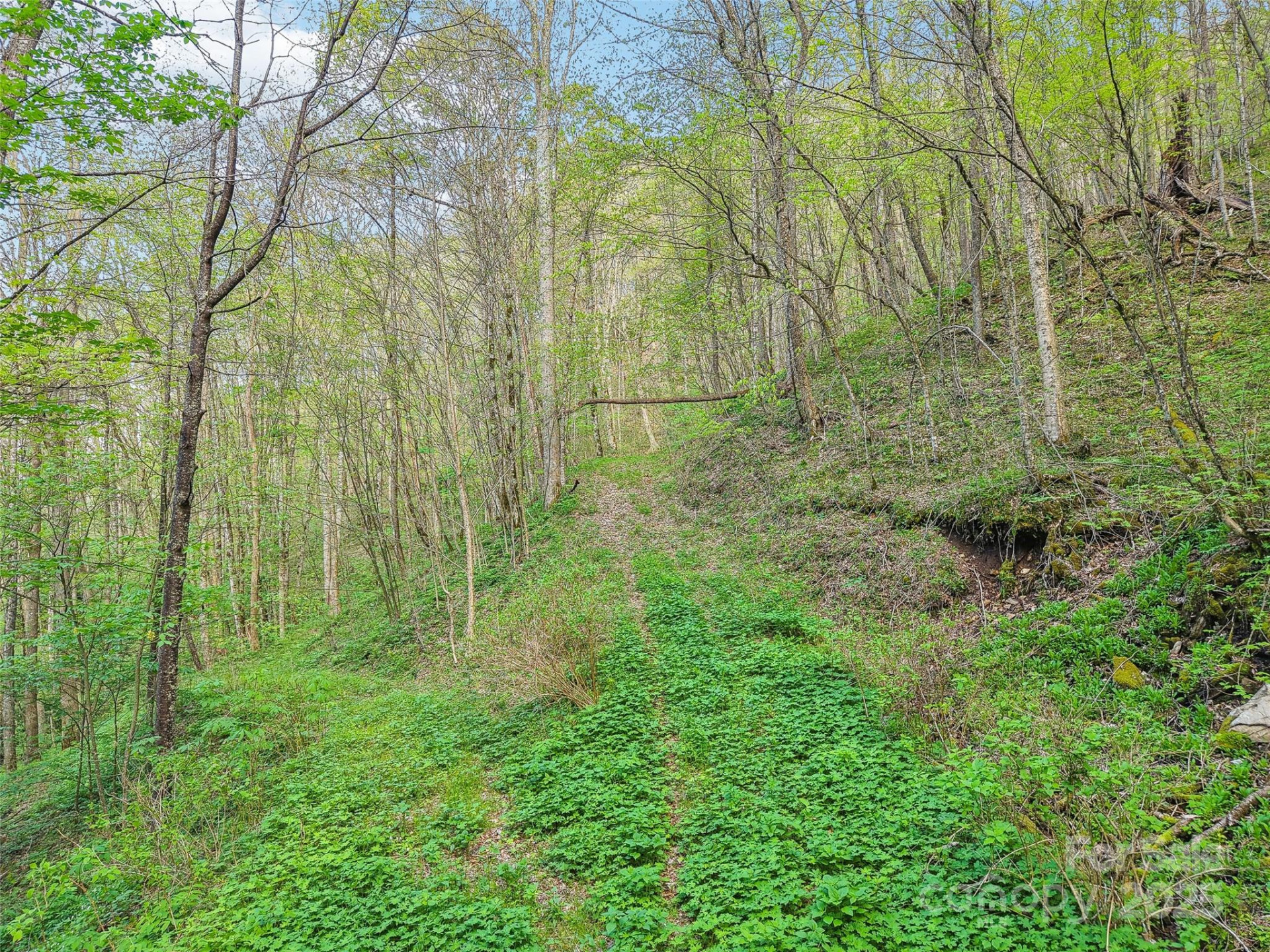 0 Star Crest Drive - Photo 4