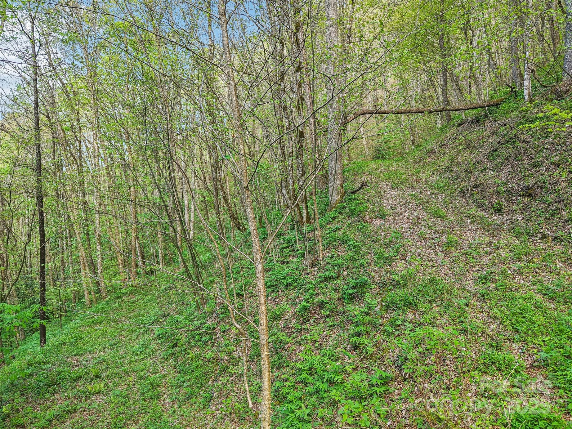 0 Star Crest Drive - Photo 5