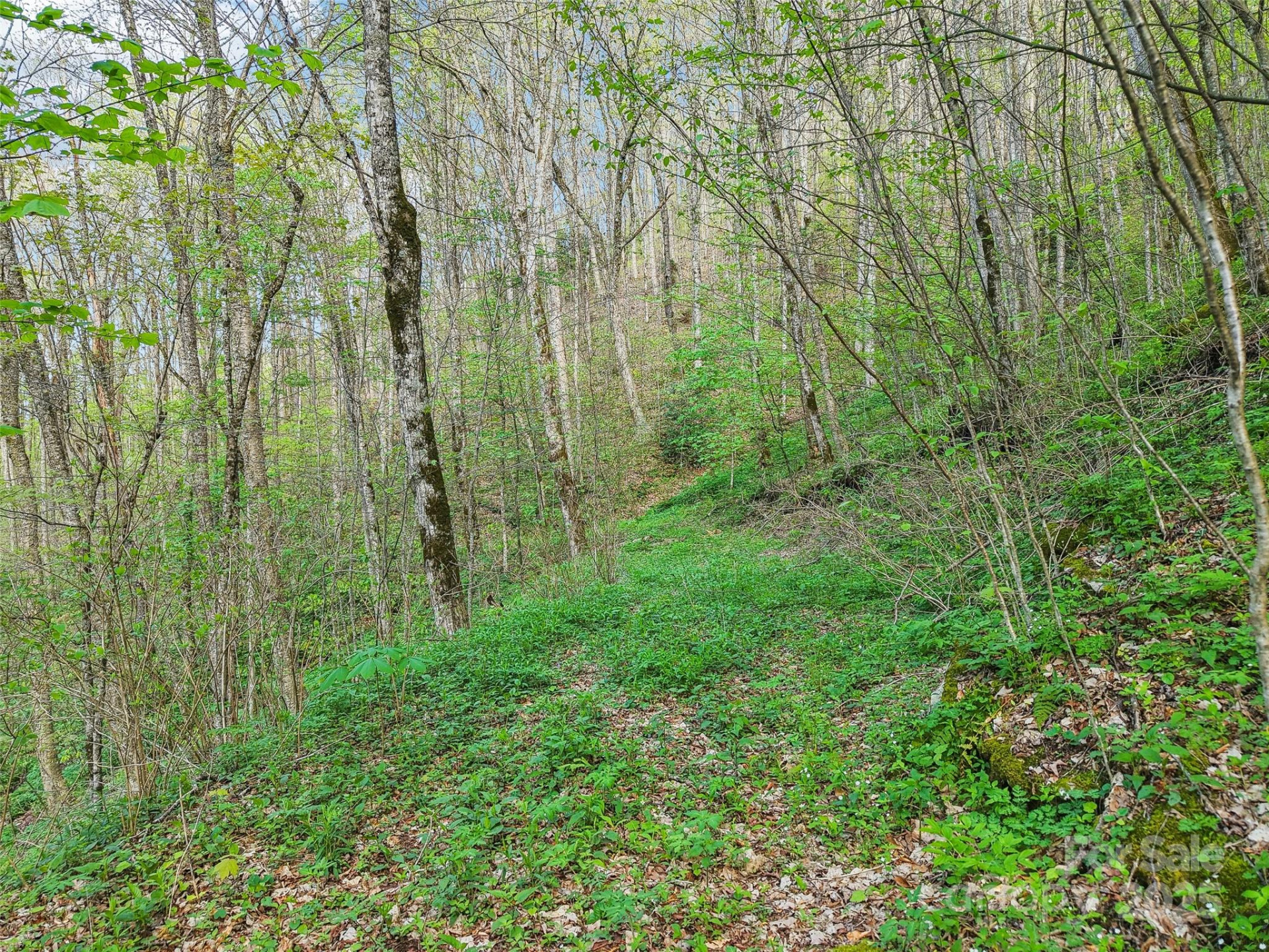 0 Star Crest Drive - Photo 6