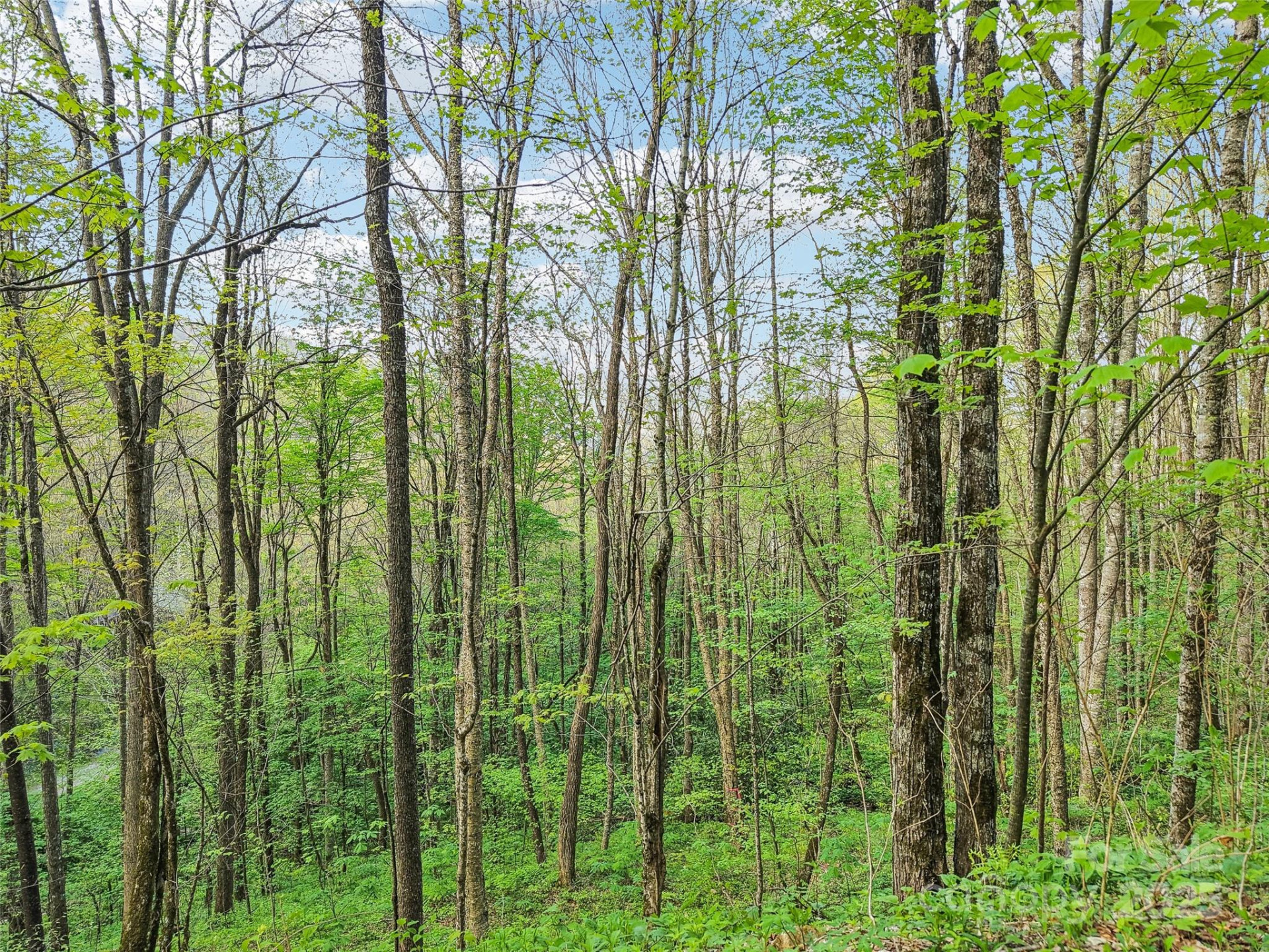 0 Star Crest Drive - Photo 7