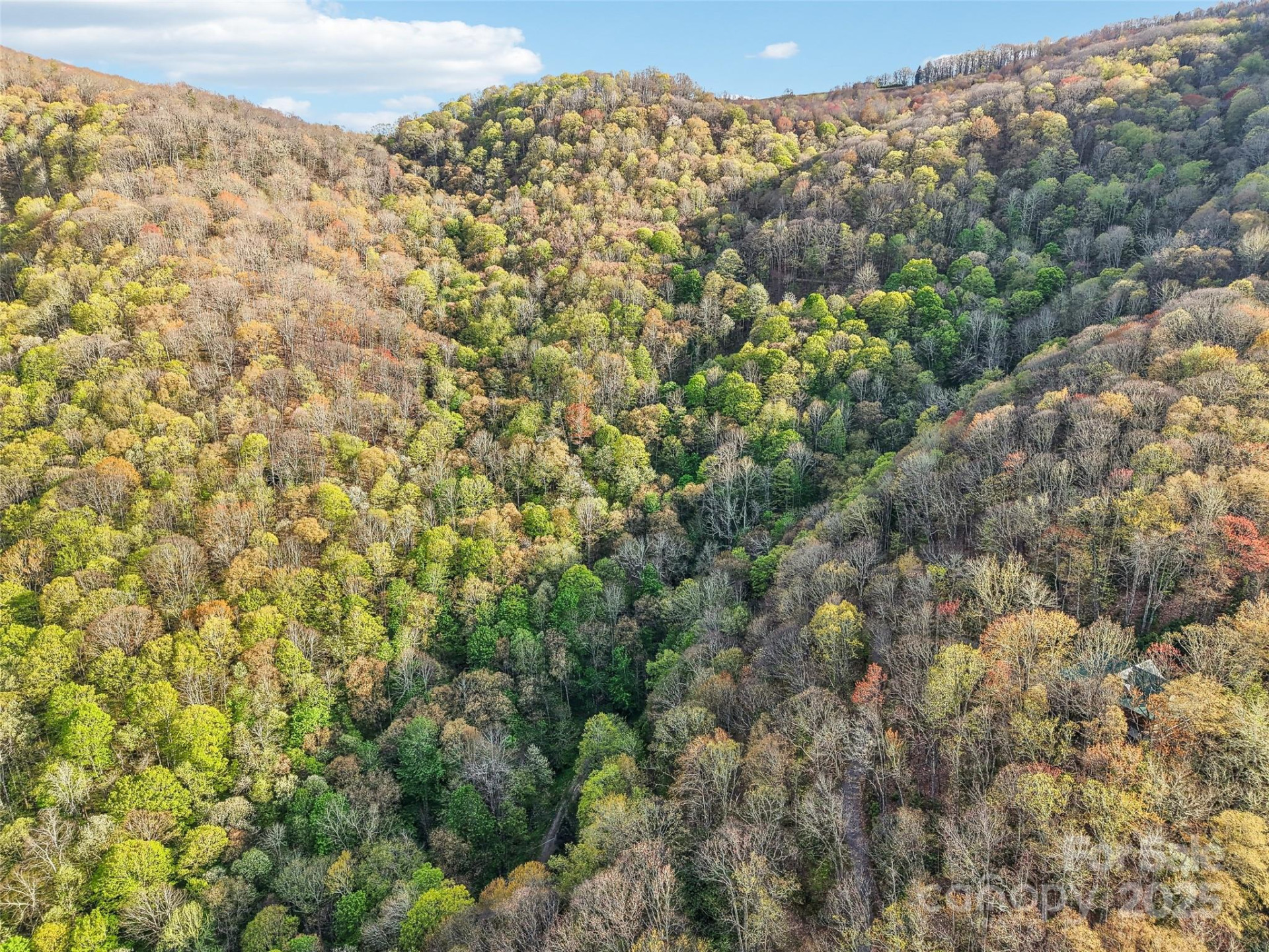 0 Star Crest Drive - Photo 8