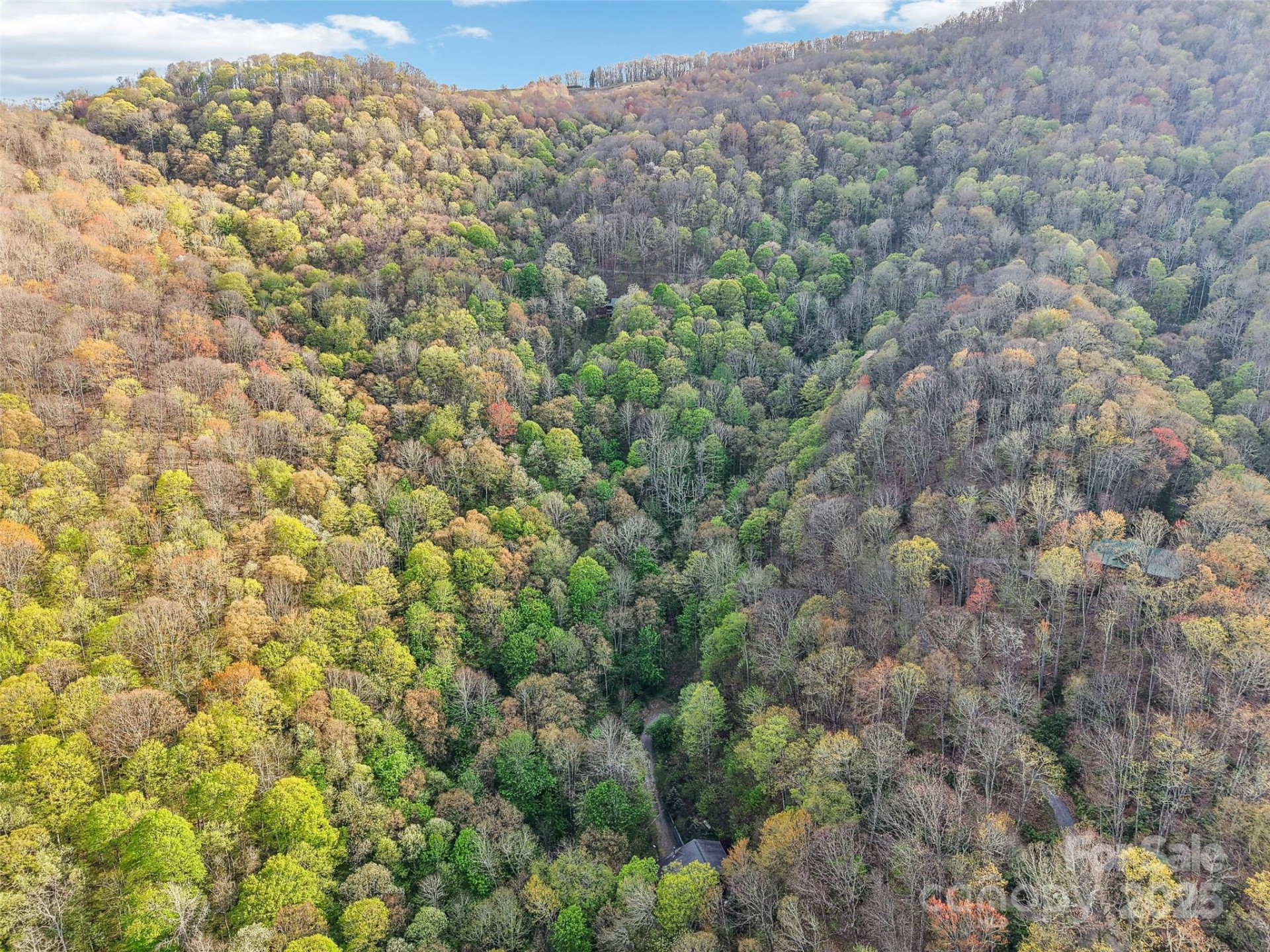 0 Star Crest Drive - Photo 9