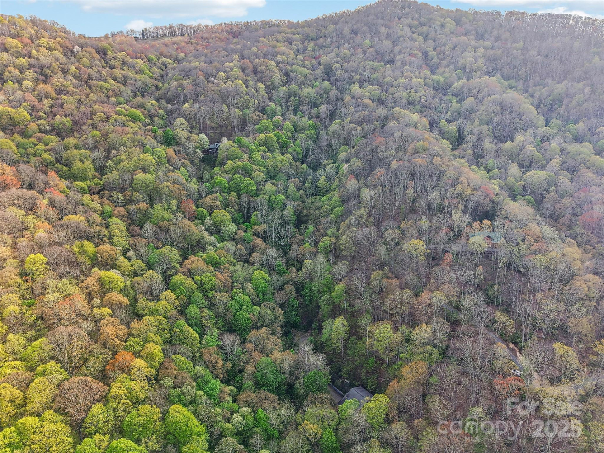 0 Star Crest Drive - Photo 10