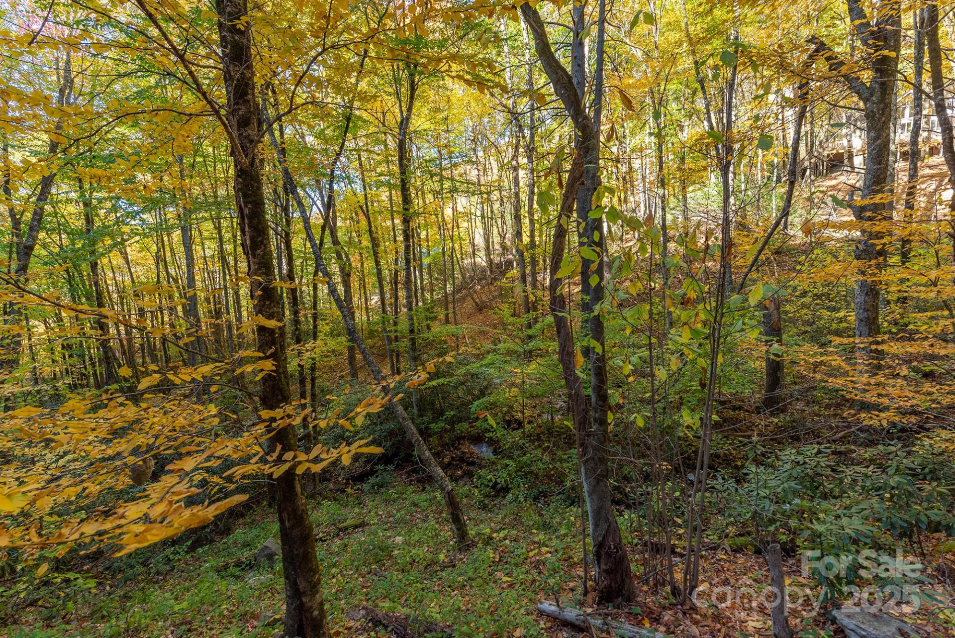 100 Candlemaker Trail - Photo 31