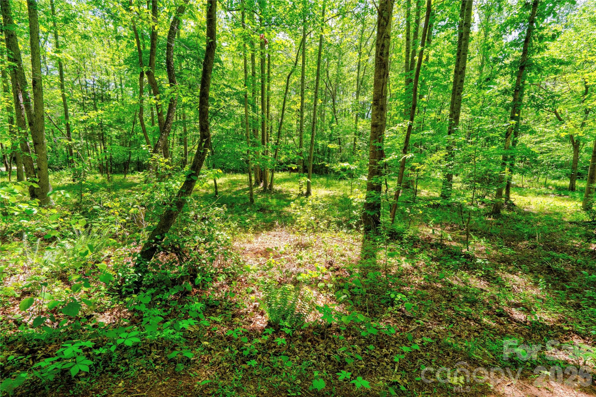 0 Taylor Road - Photo 11