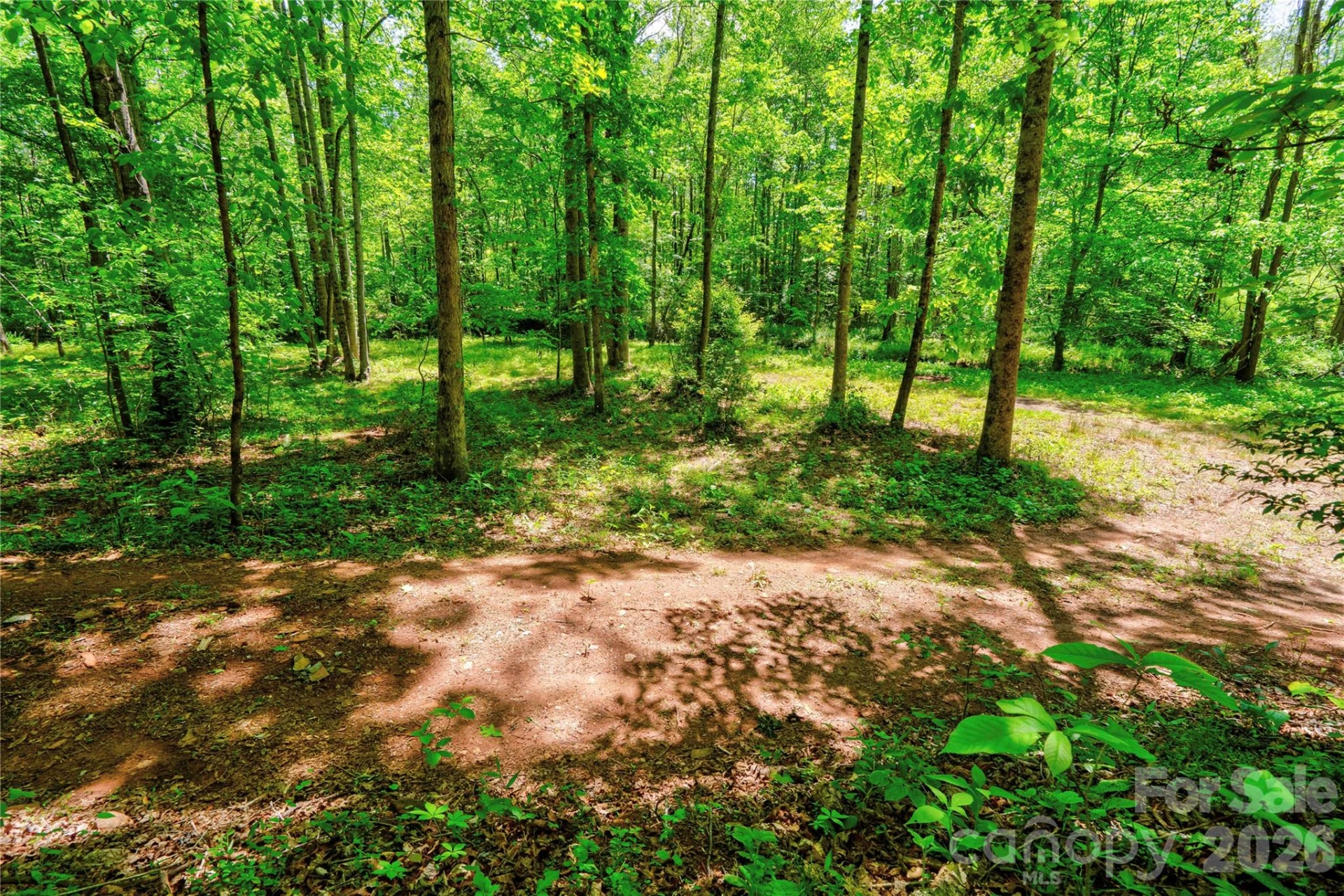 0 Taylor Road - Photo 13