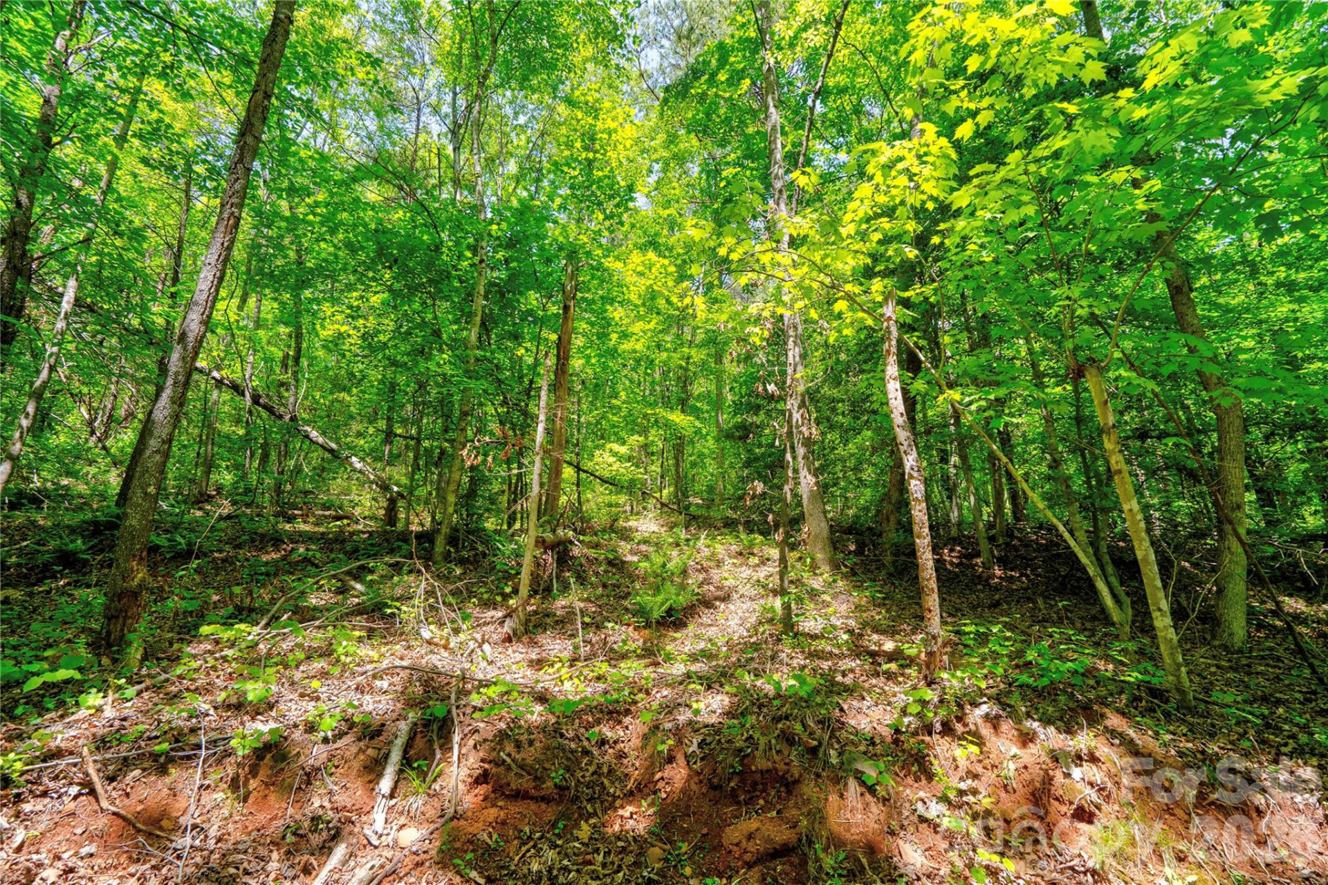 0 Taylor Road - Photo 15