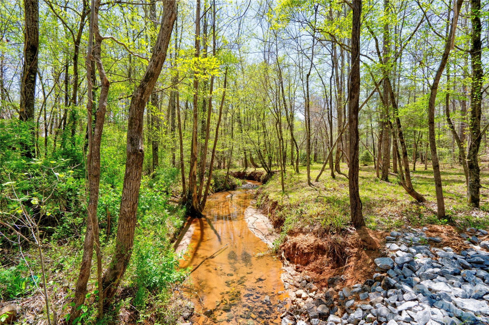 0 Taylor Road - Photo 3