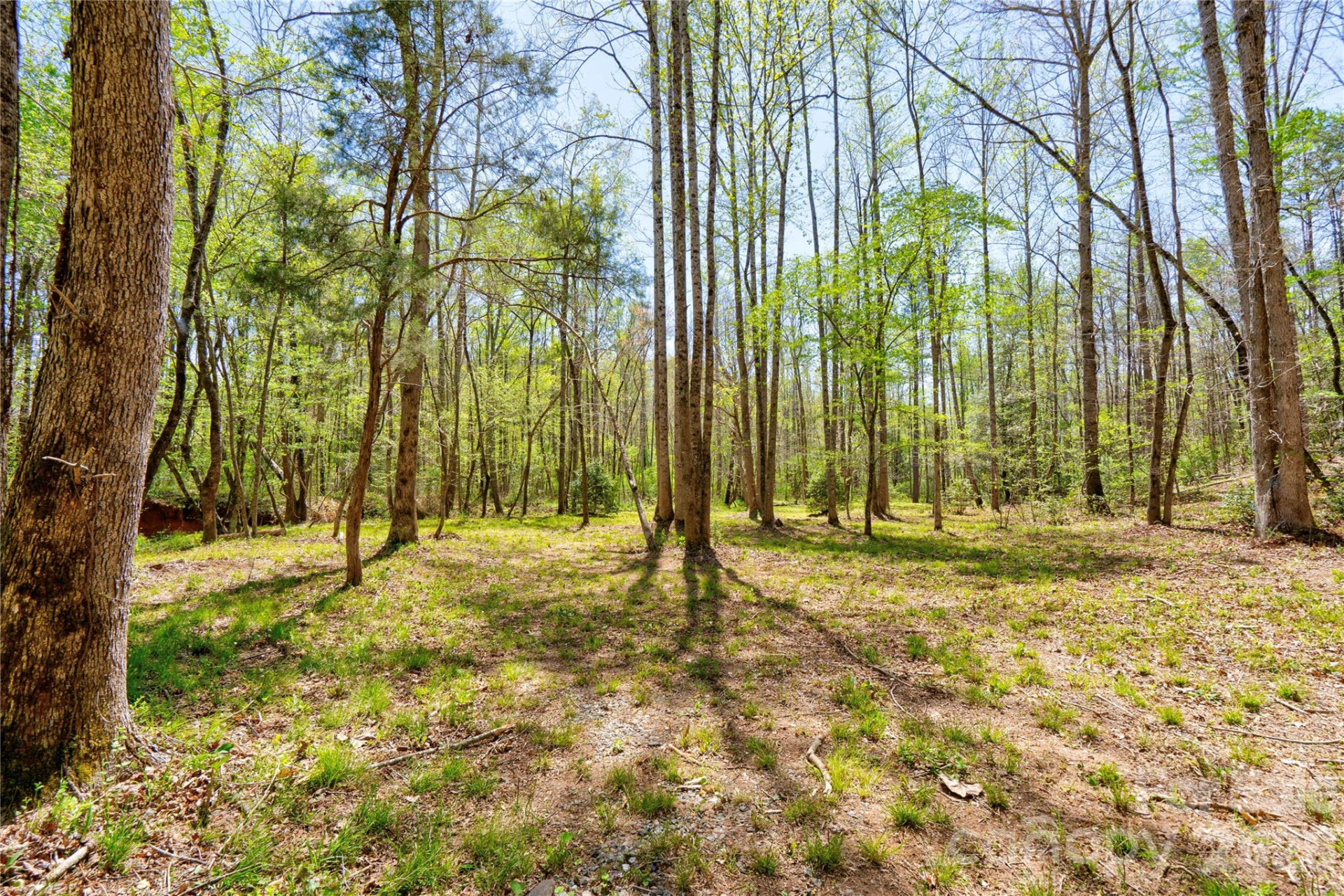 0 Taylor Road - Photo 5