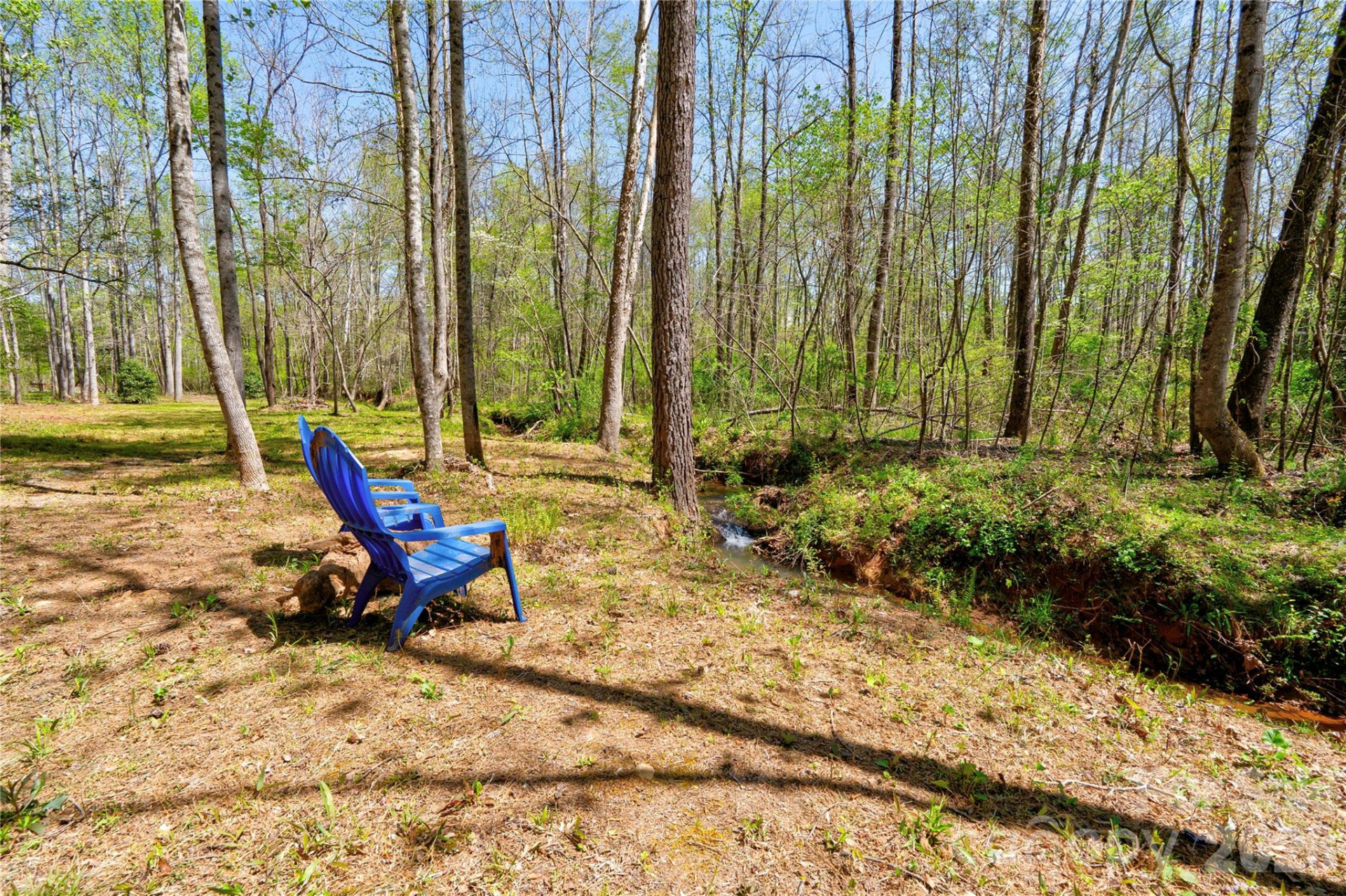 0 Taylor Road - Photo 7