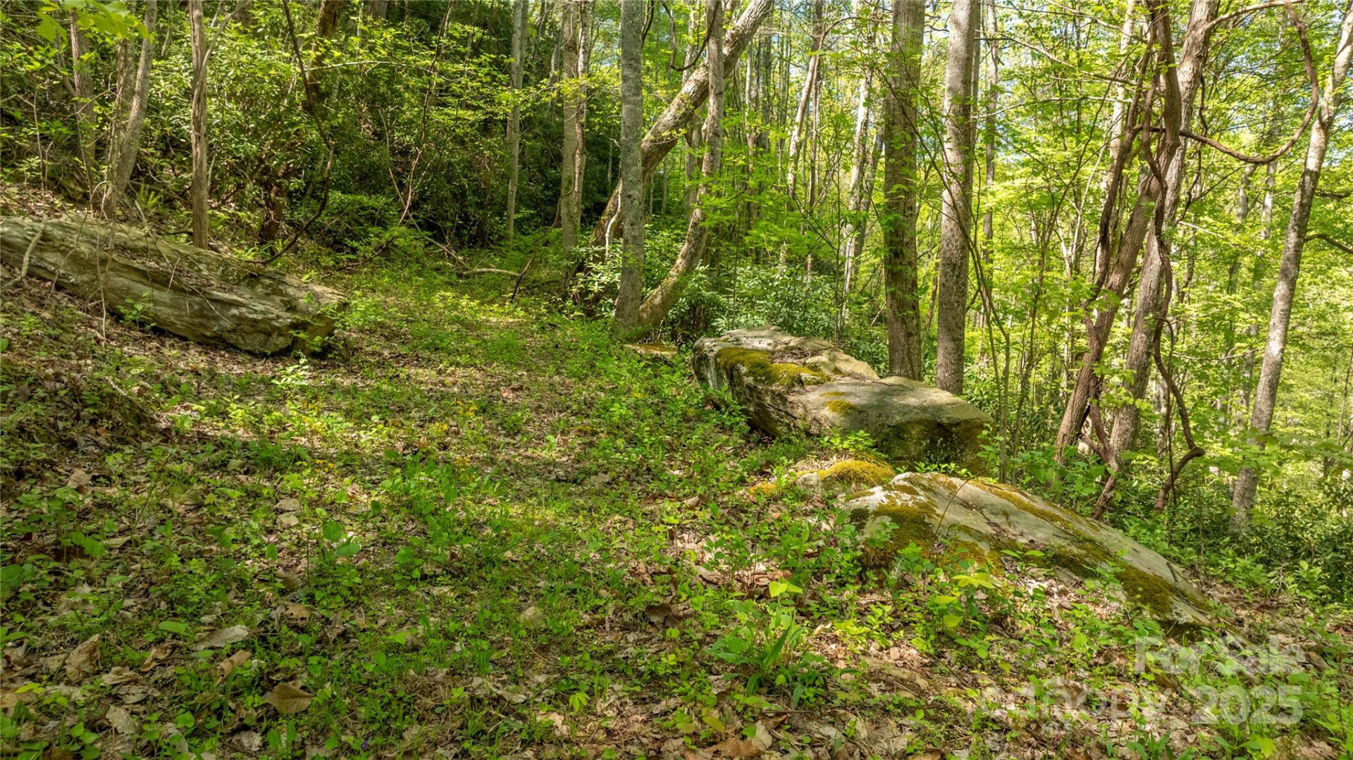 0000 Whispering Woods Path #95-A - Photo 14