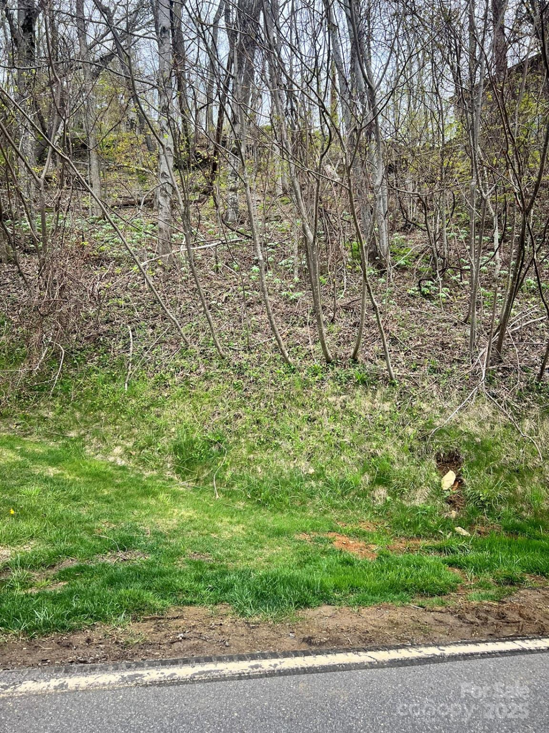 000 Mountain Aire Drive - Photo 3