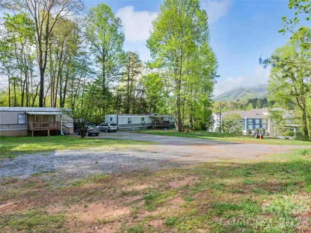 42 Violet Drive