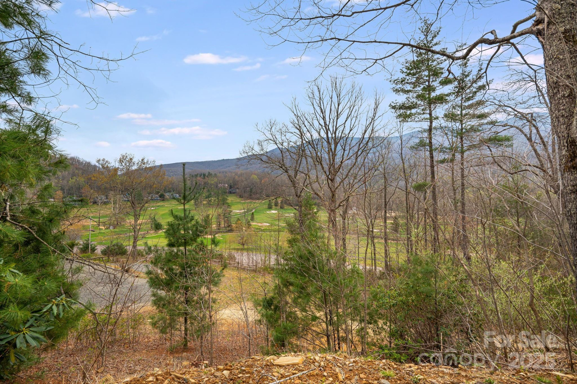 11381 State Hwy 80 N Highway - Photo 29