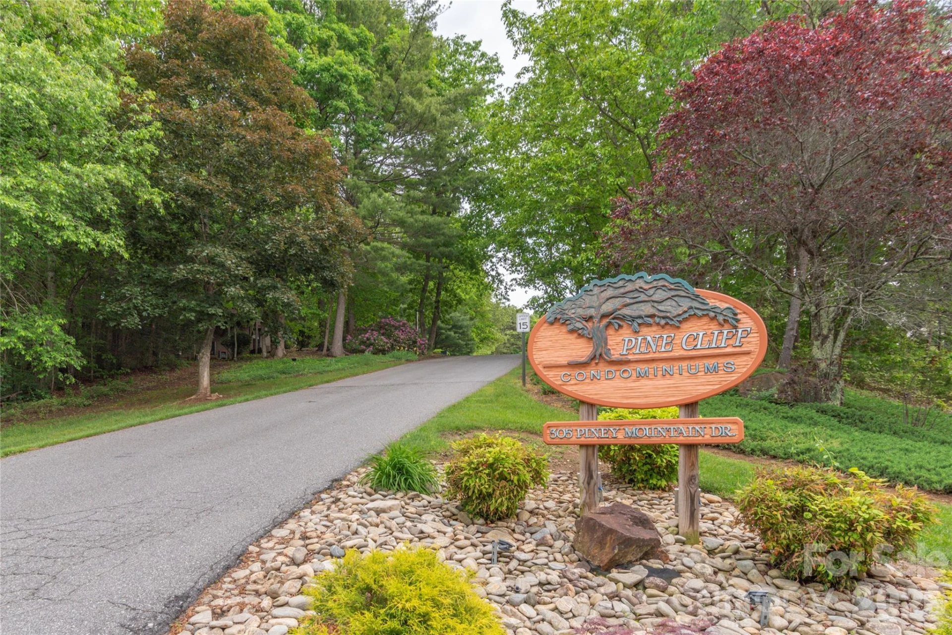 305 Piney Mountain Drive #R1 - Photo 23