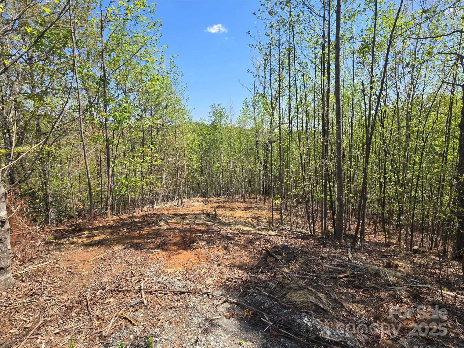 Lot 17 Touch Me Not Trail - Photo 2