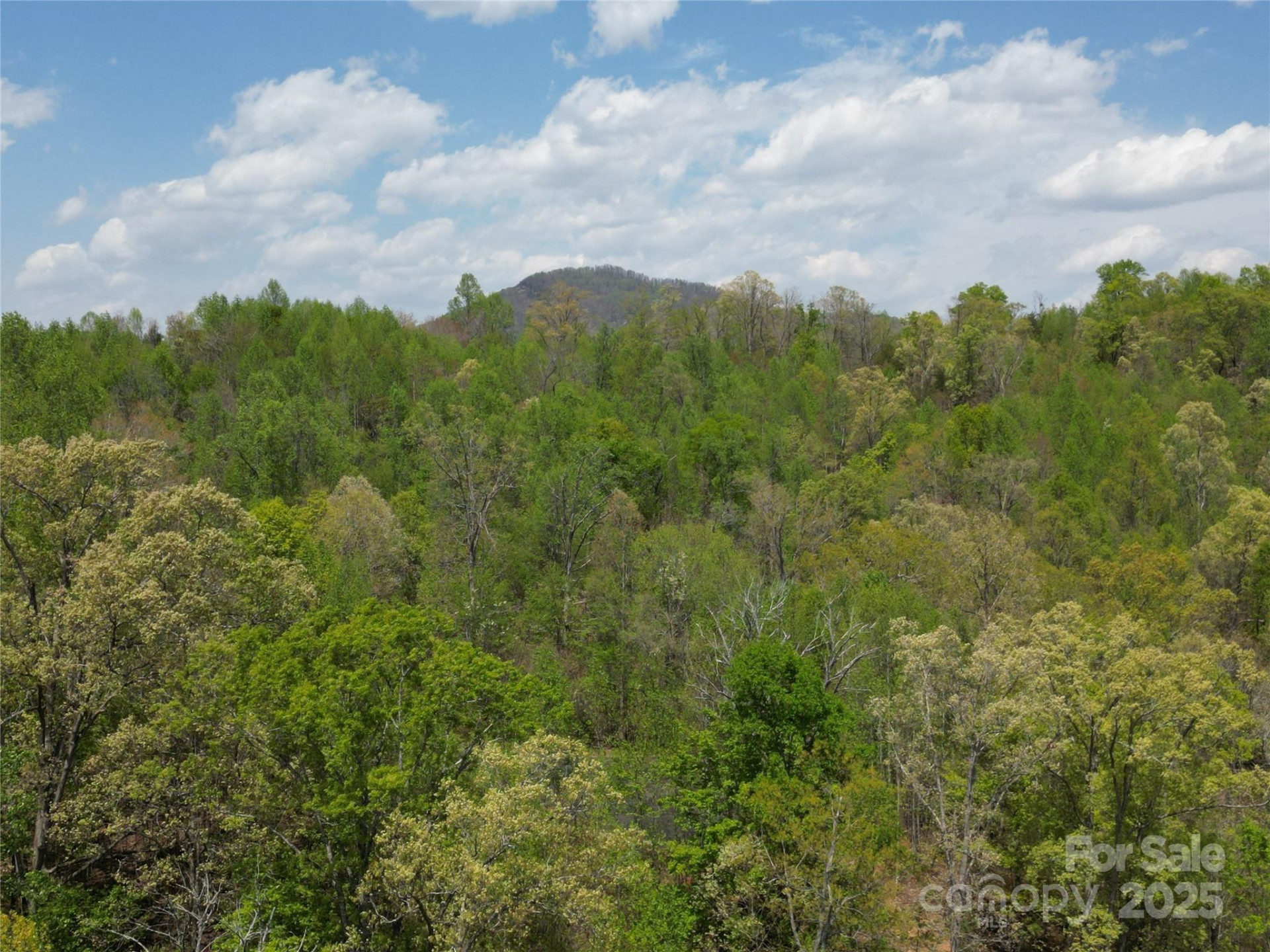 Lot 17 Touch Me Not Trail - Photo 3