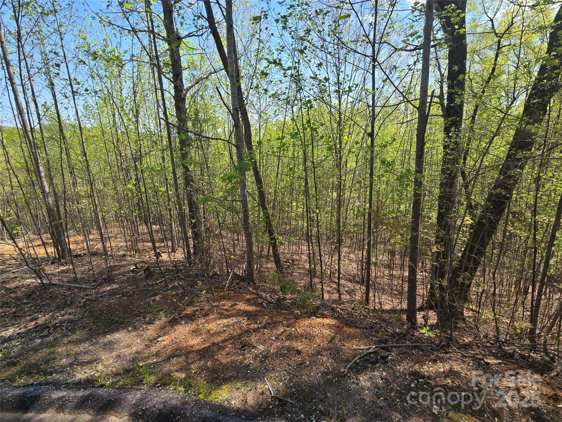 Lot 17 Touch Me Not Trail - Photo 4