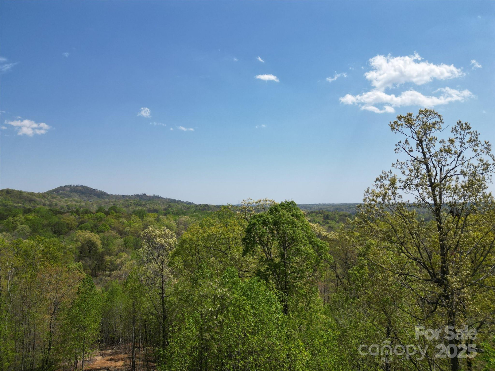 Lot 17 Touch Me Not Trail - Photo 5