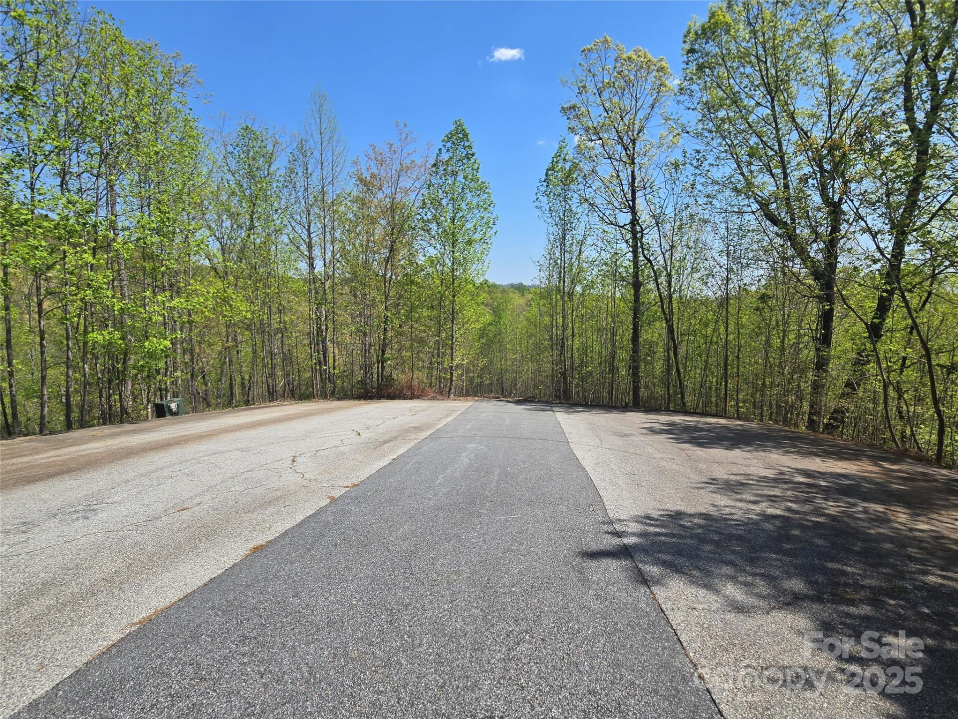 Lot 17 Touch Me Not Trail - Photo 6