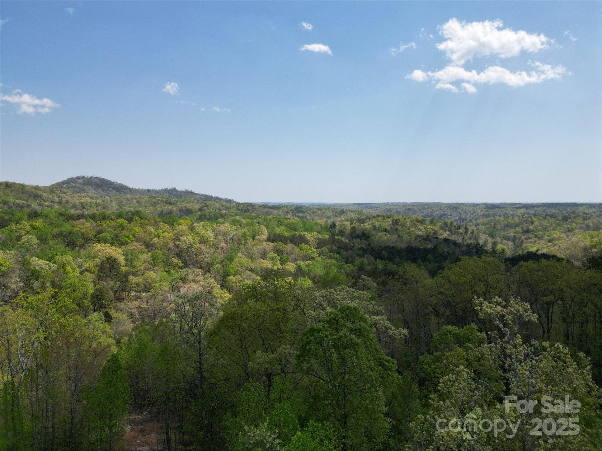 Lot 17 Touch Me Not Trail - Photo 8