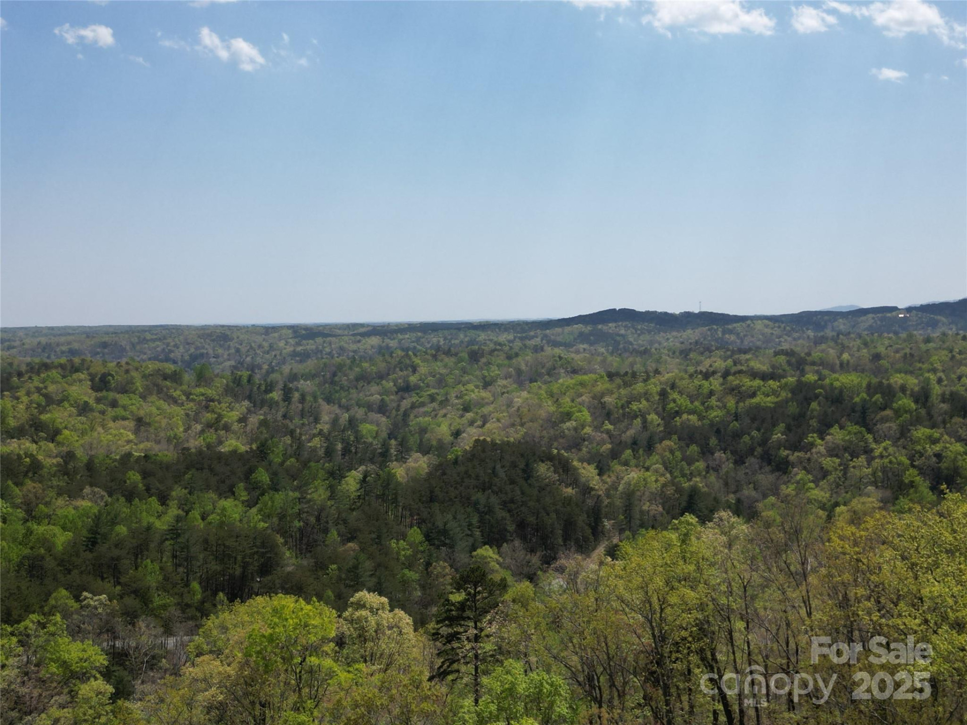 Lot 17 Touch Me Not Trail - Photo 9