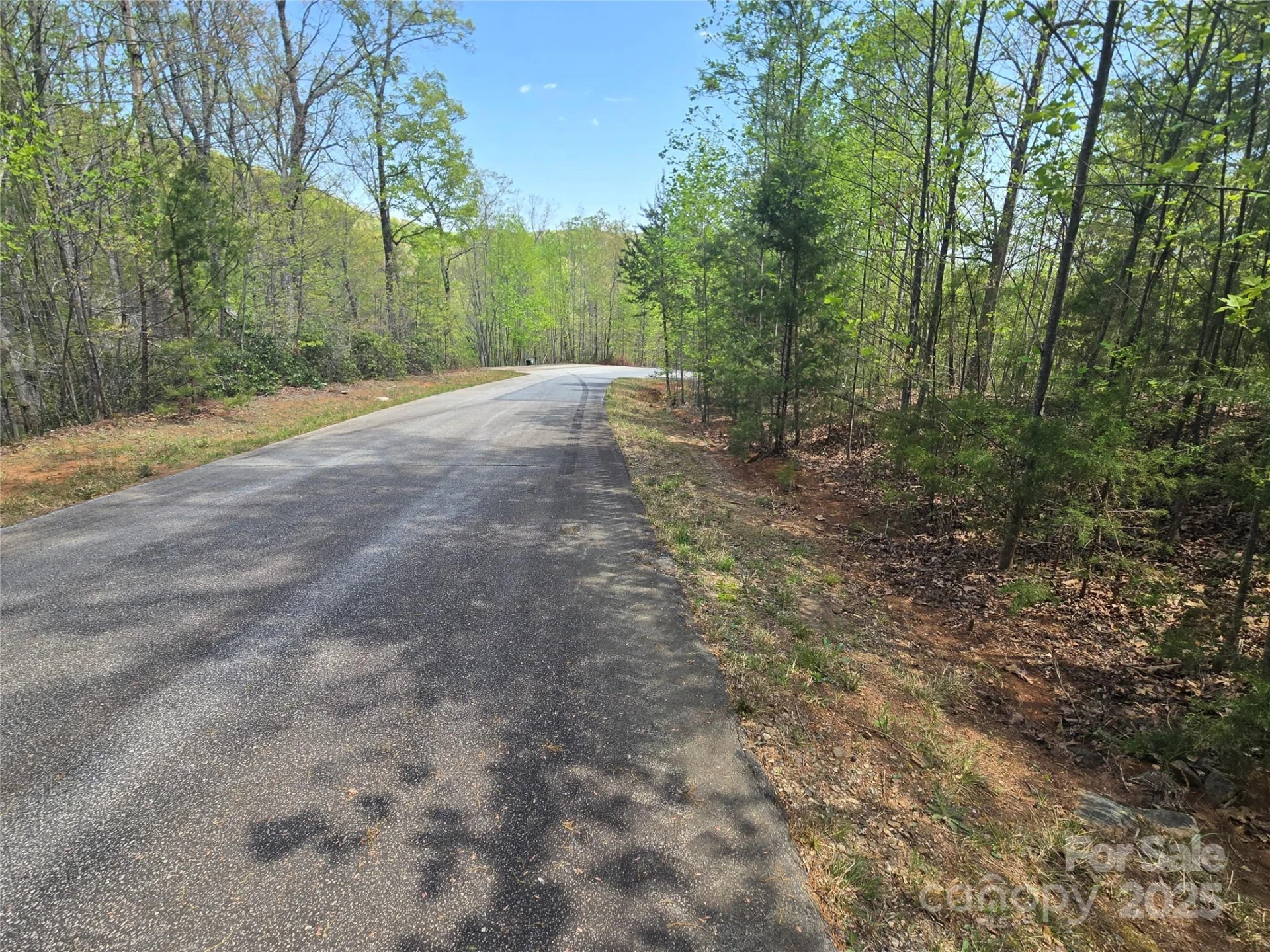 Lot 20 Touch Me Not Trail - Photo 4