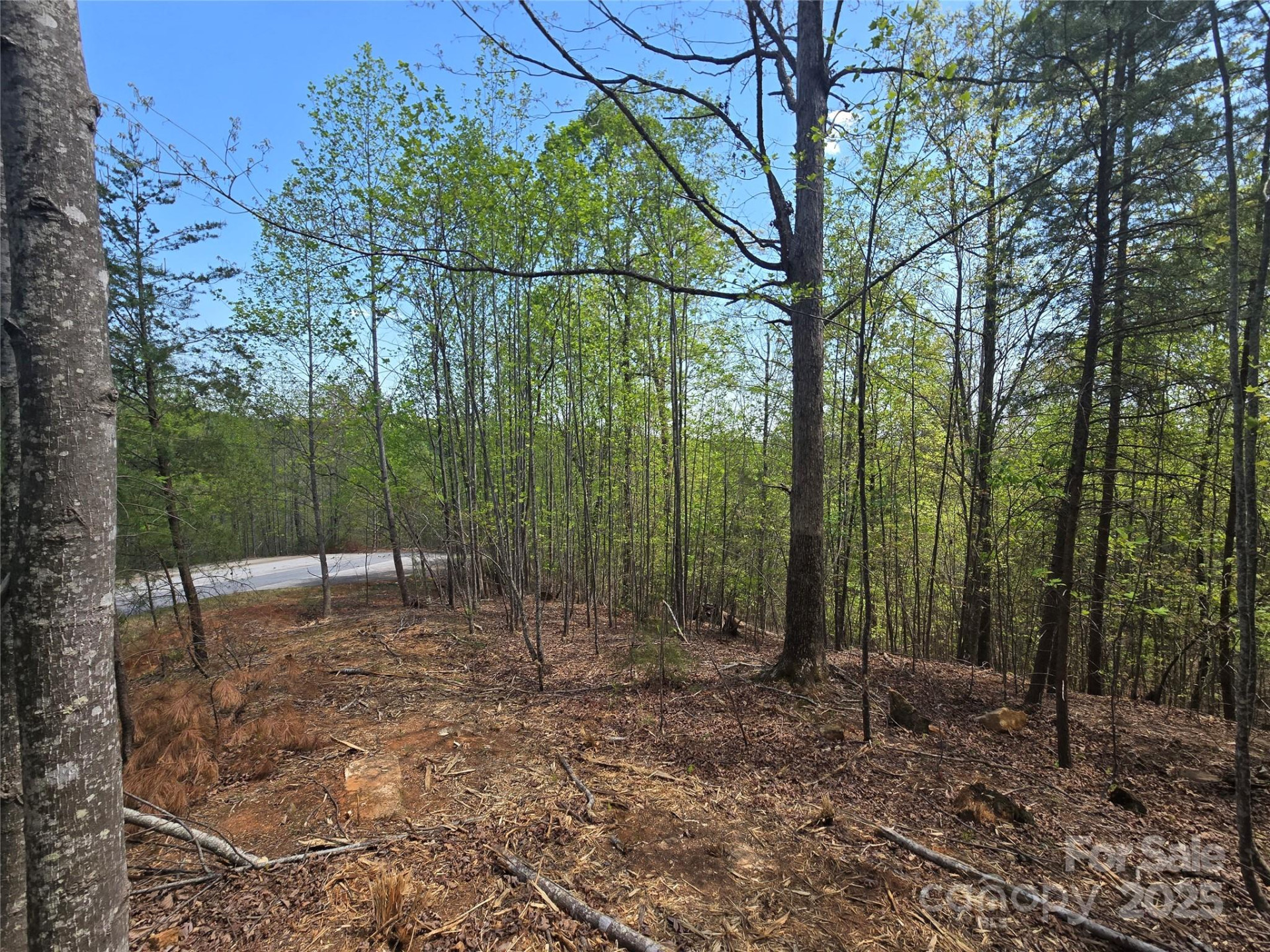 Lot 20 Touch Me Not Trail - Photo 7