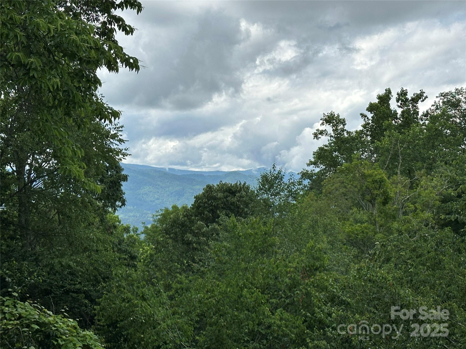 222 Creekside Way #D/101 - Photo 35