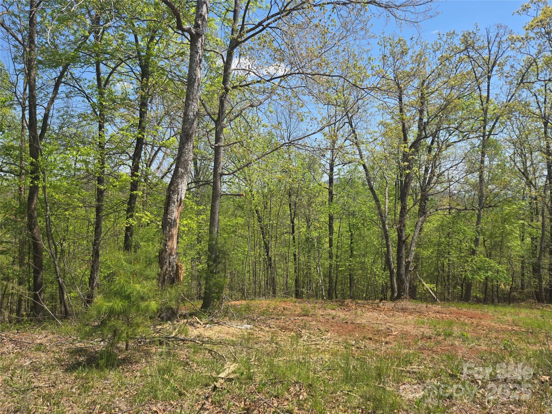 Lot 23 High Rock Ridge