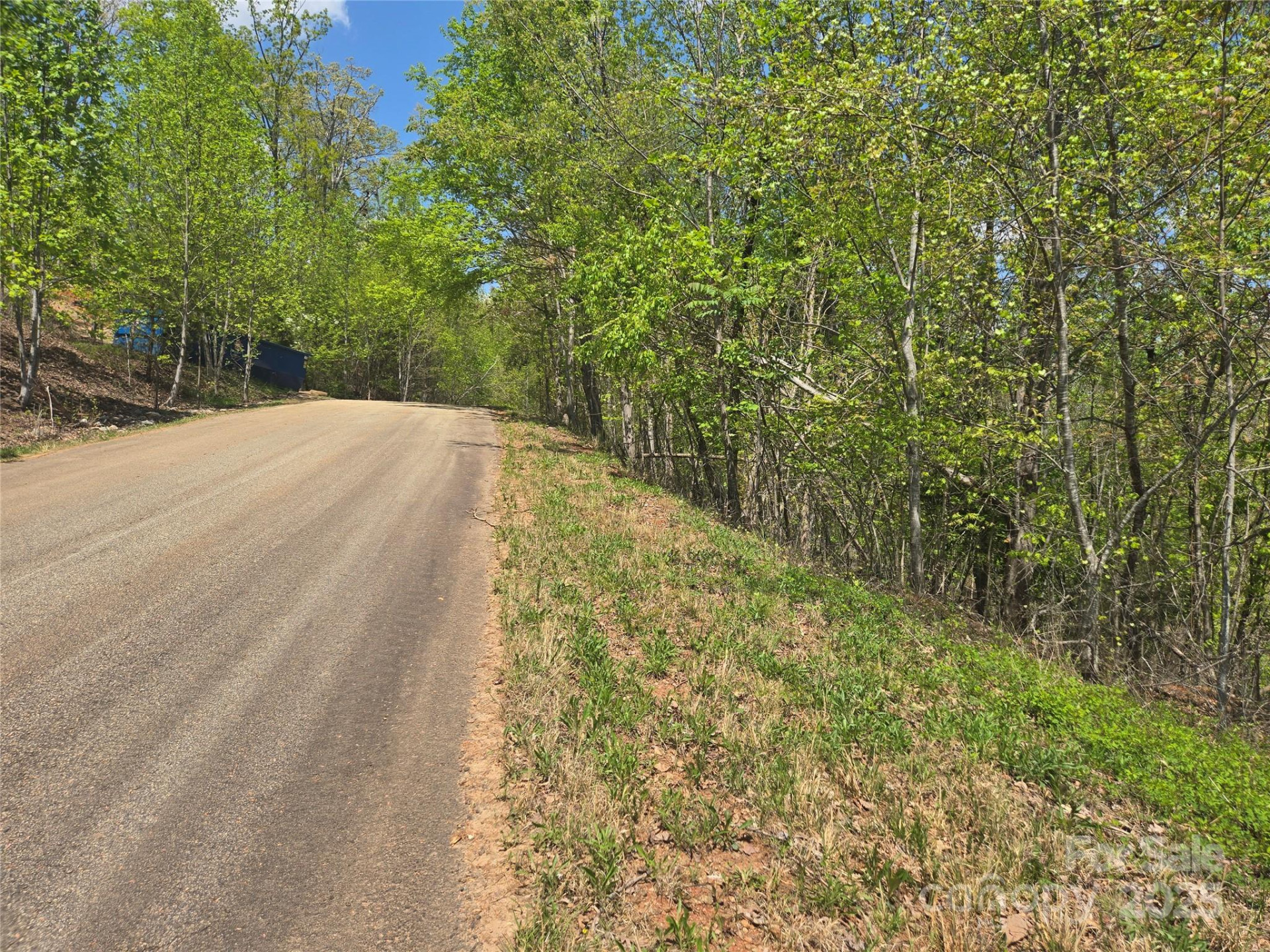 Lot 23 High Rock Ridge - Photo 12