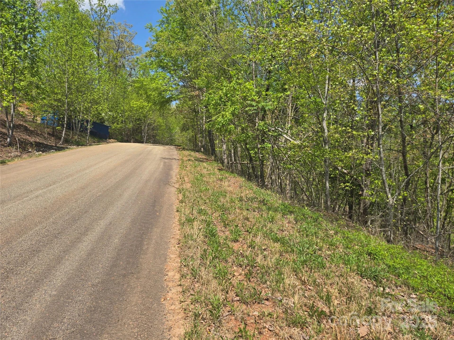 Lot 23 High Rock Ridge - Photo 12