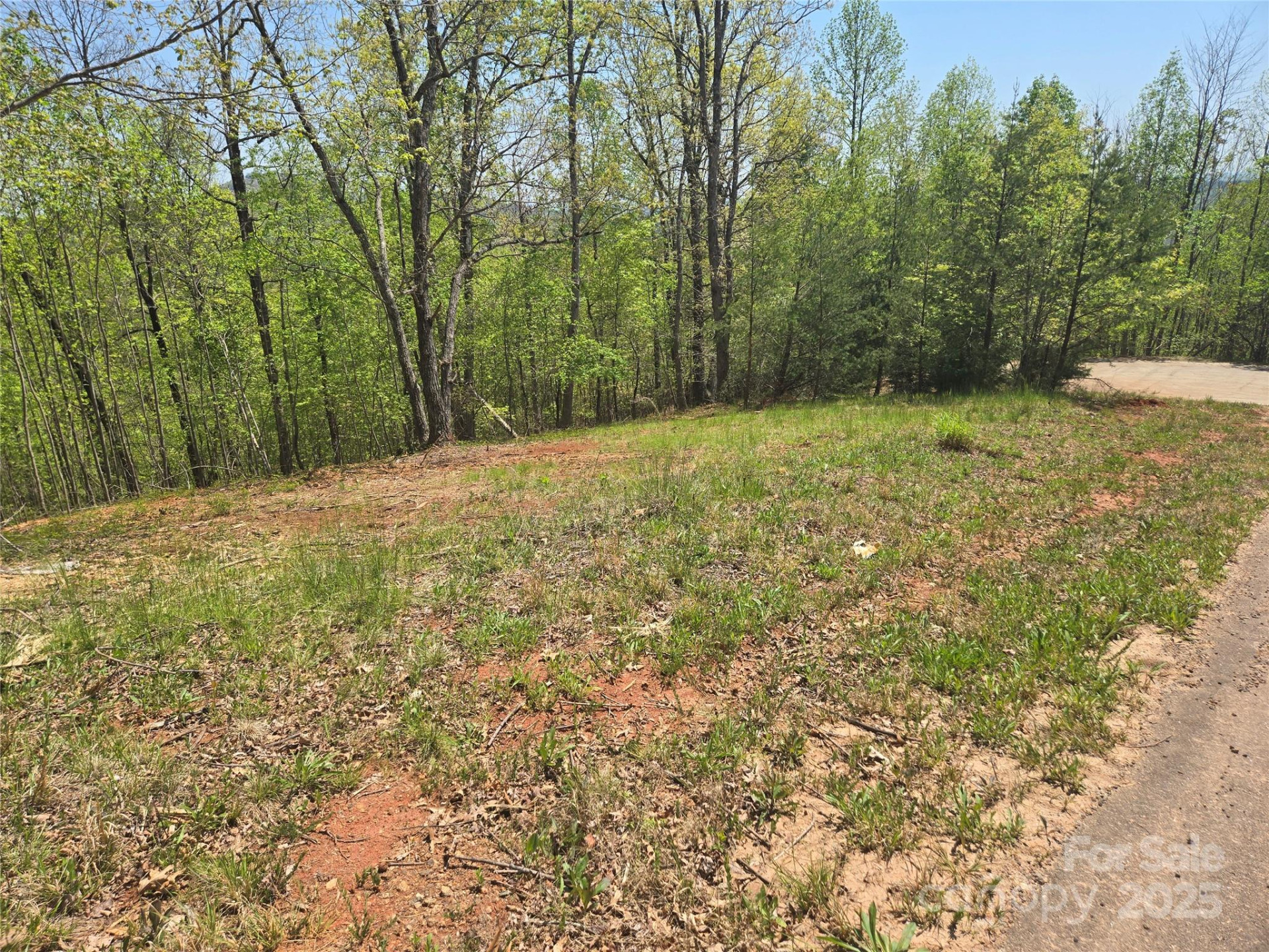 Lot 23 High Rock Ridge - Photo 13