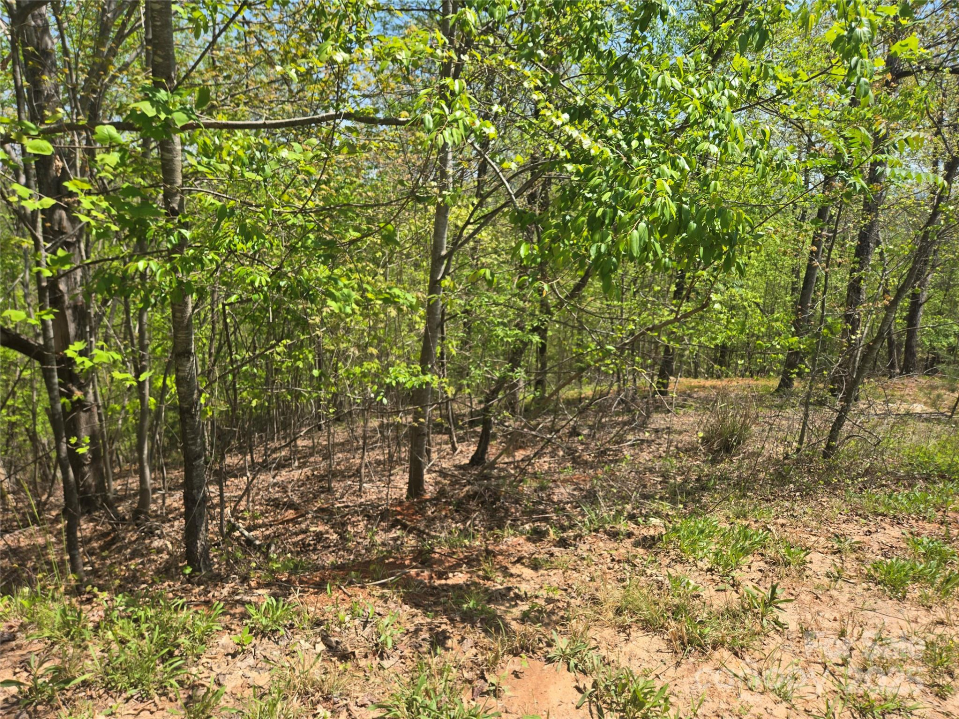 Lot 23 High Rock Ridge - Photo 5