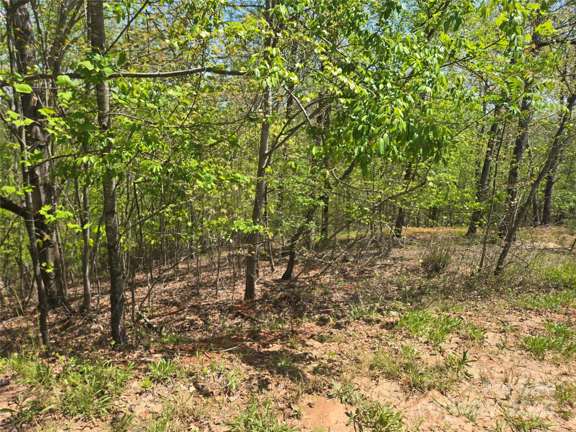 Lot 23 High Rock Ridge - Photo 5