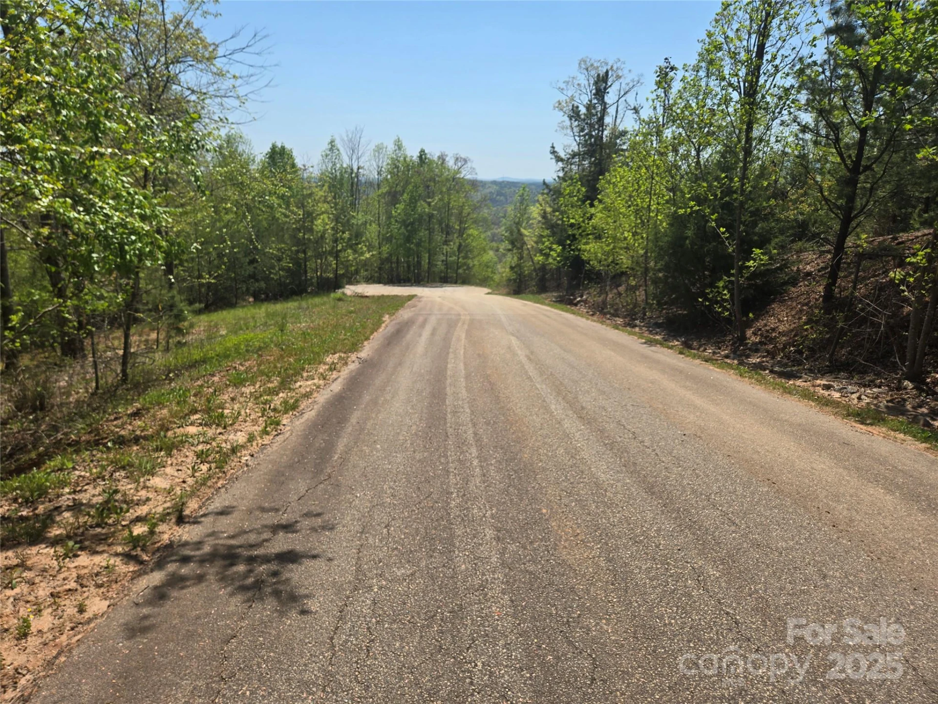 Lot 23 High Rock Ridge - Photo 6