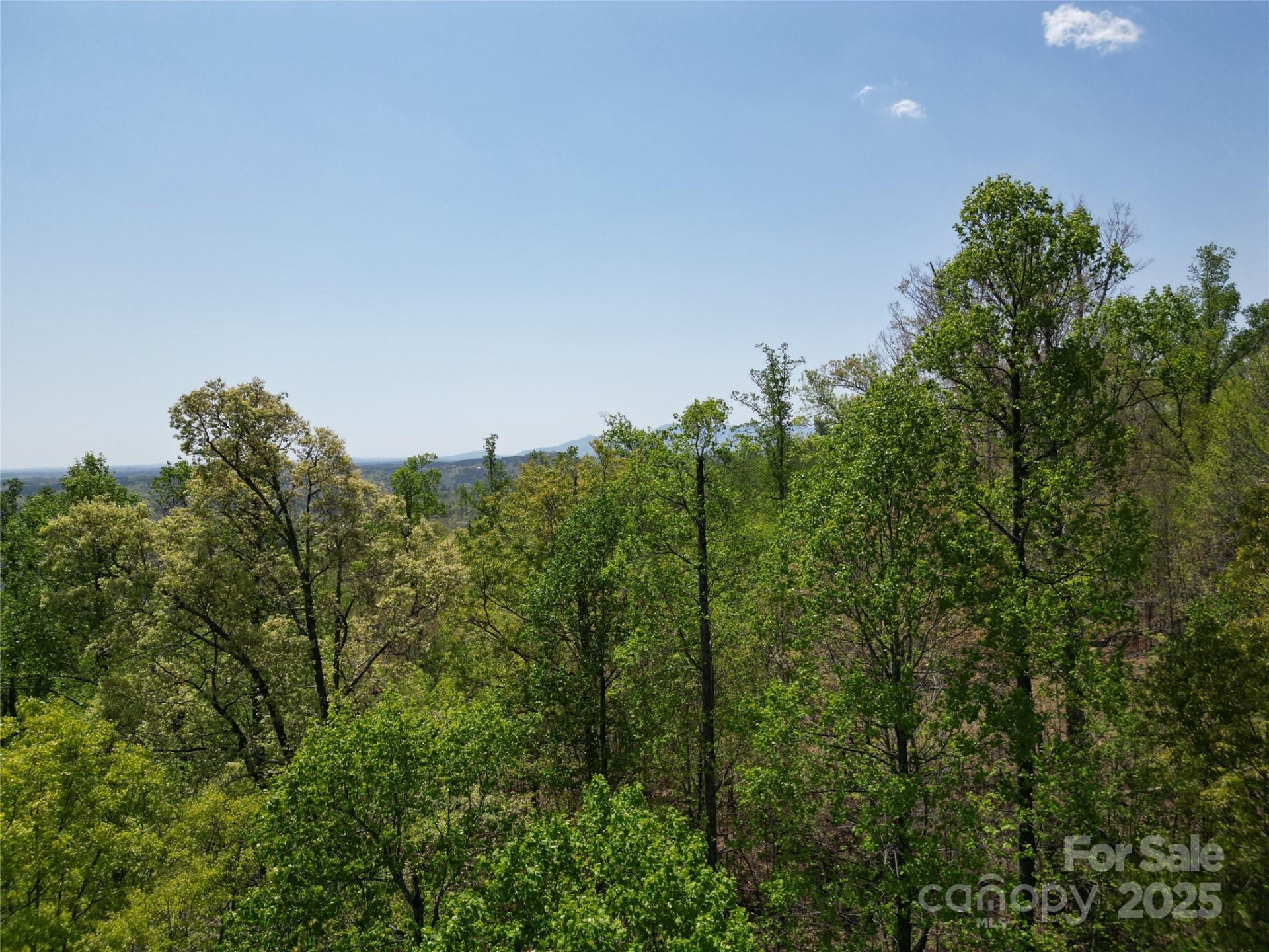 Lot 23 High Rock Ridge - Photo 7