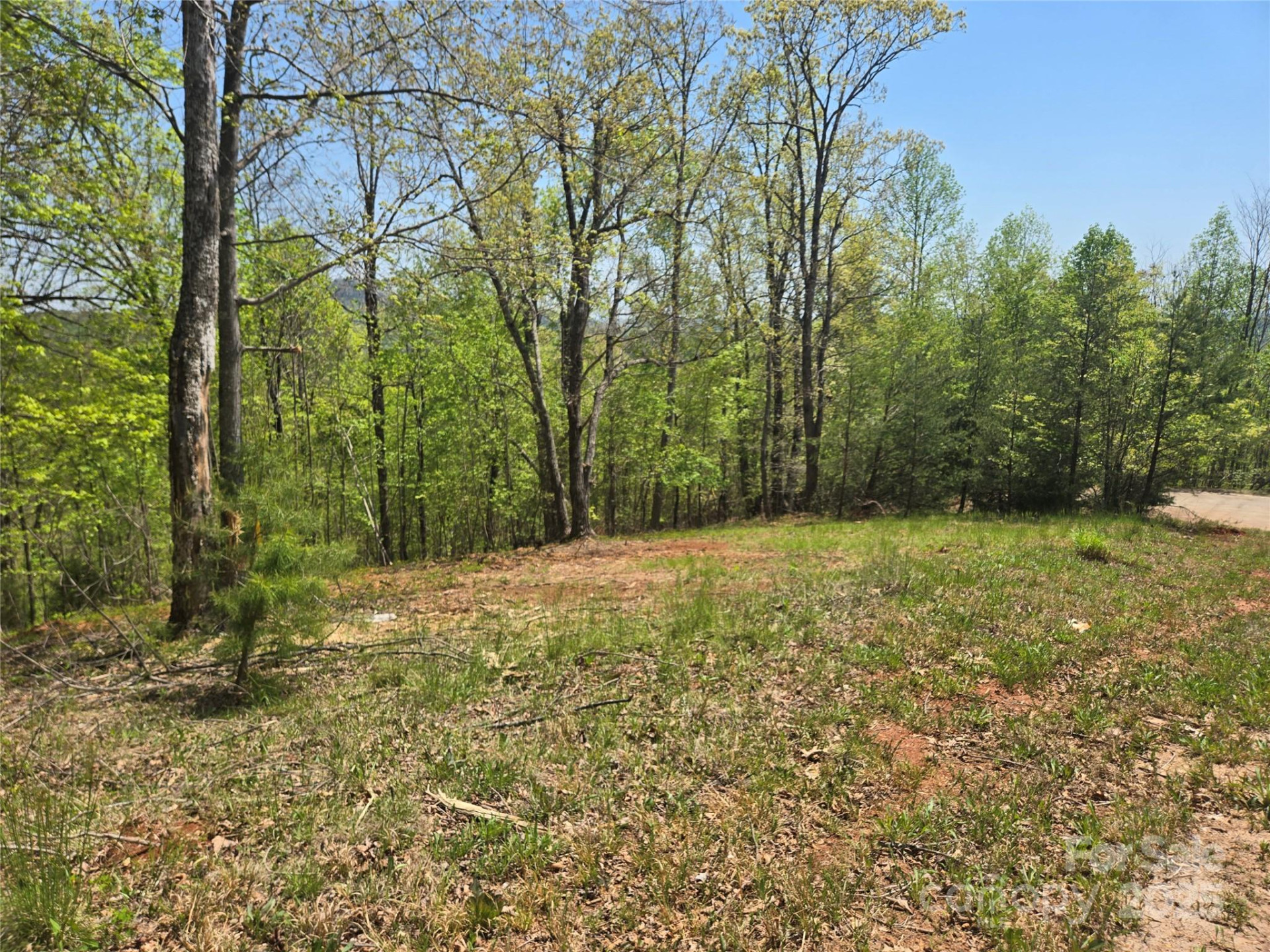 Lot 23 High Rock Ridge - Photo 8