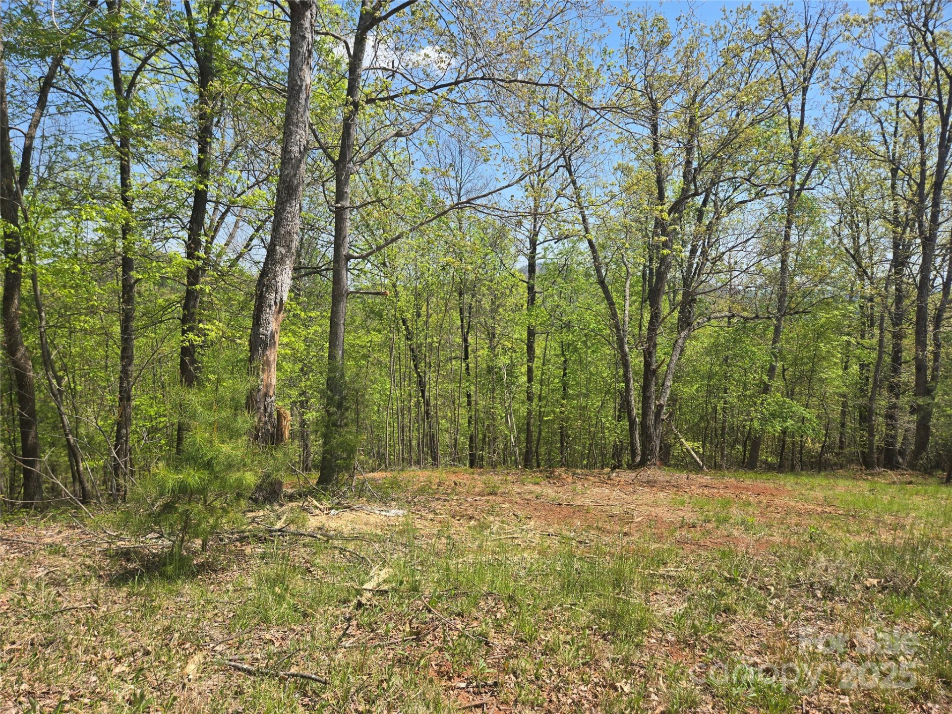 Lot 23 High Rock Ridge - Photo 9