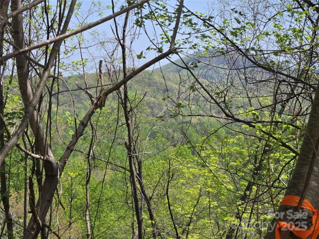 Lot 24 High Rock Ridge