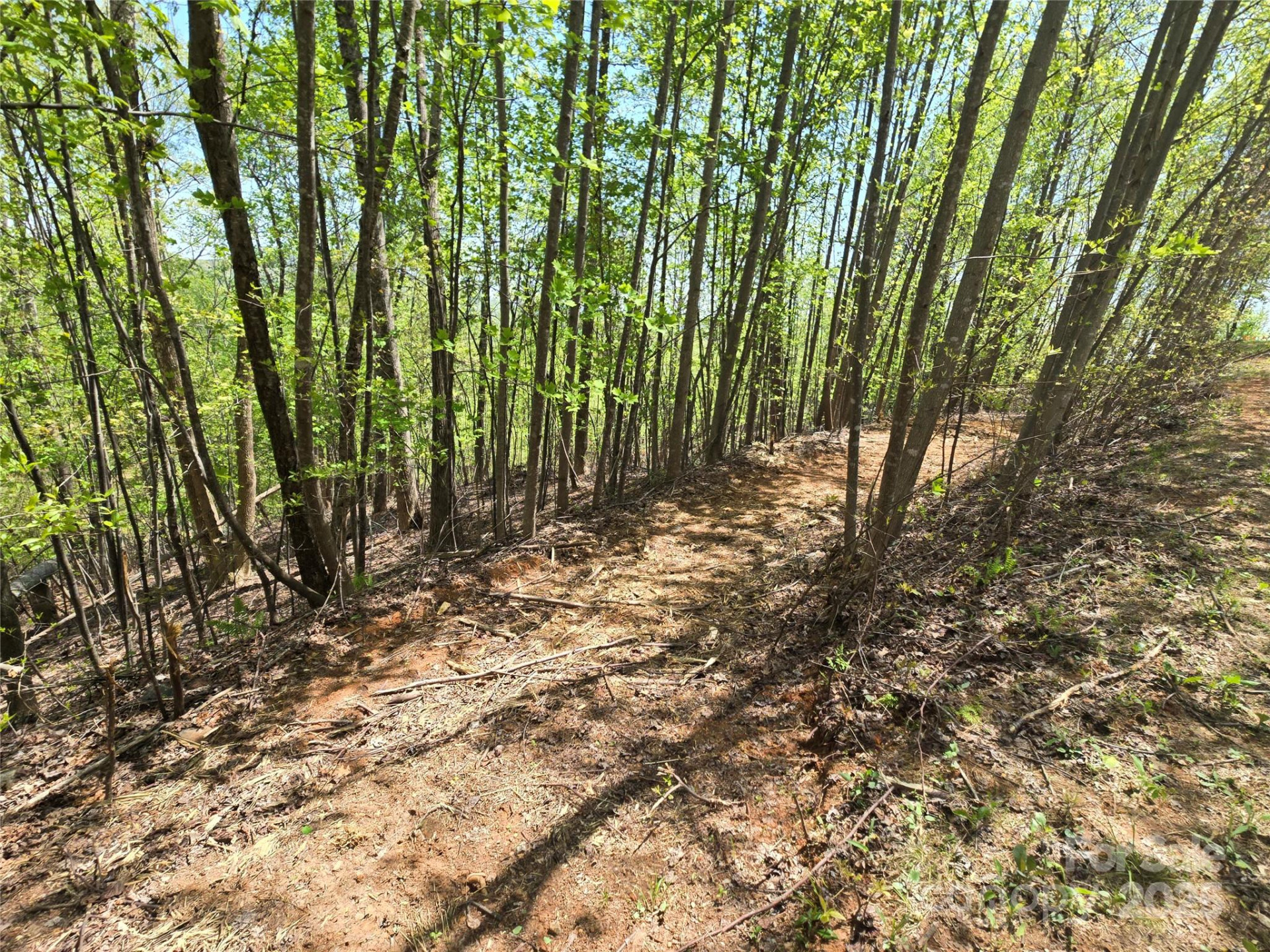 Lot 24 High Rock Ridge - Photo 2