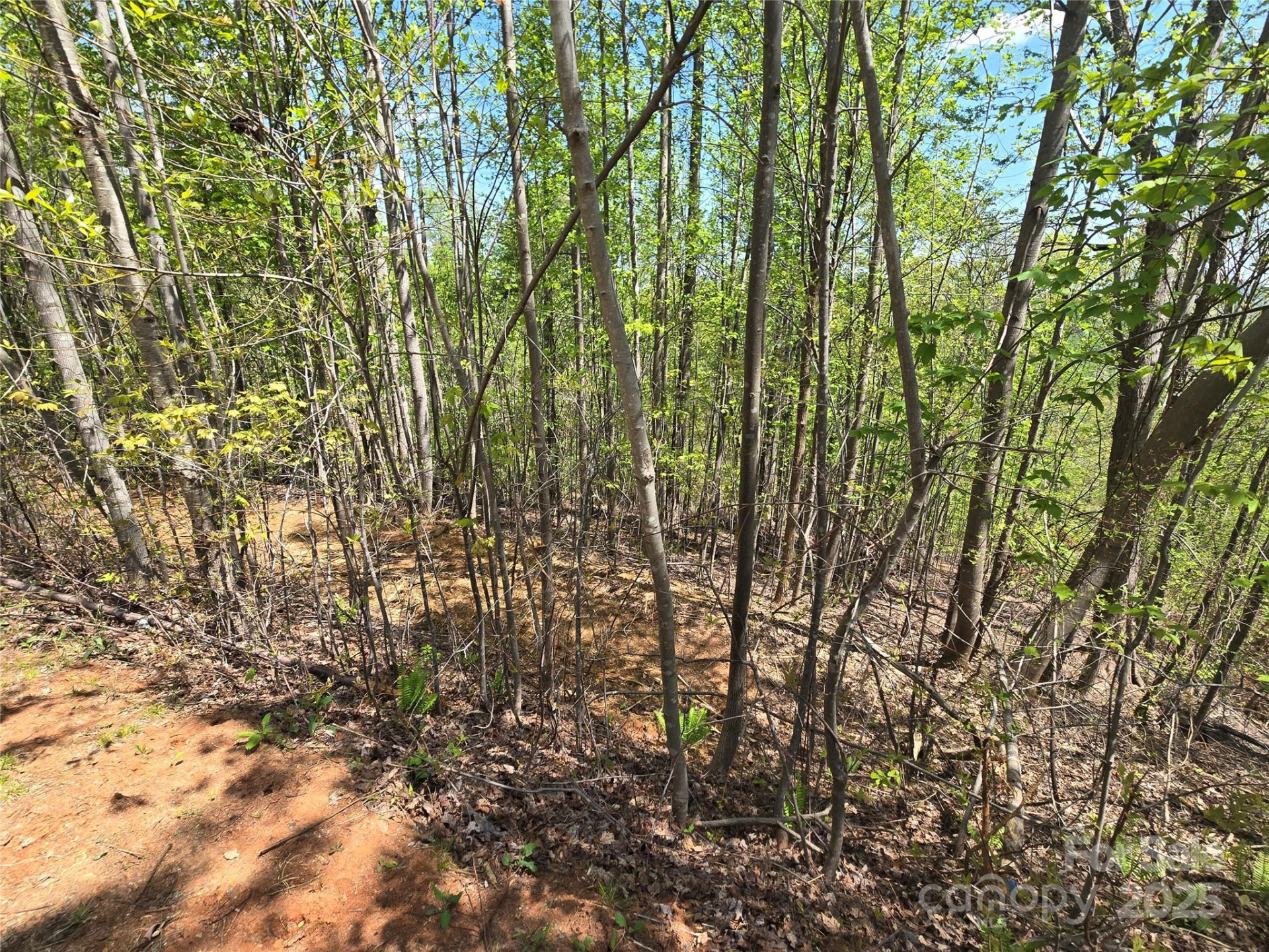Lot 24 High Rock Ridge - Photo 11