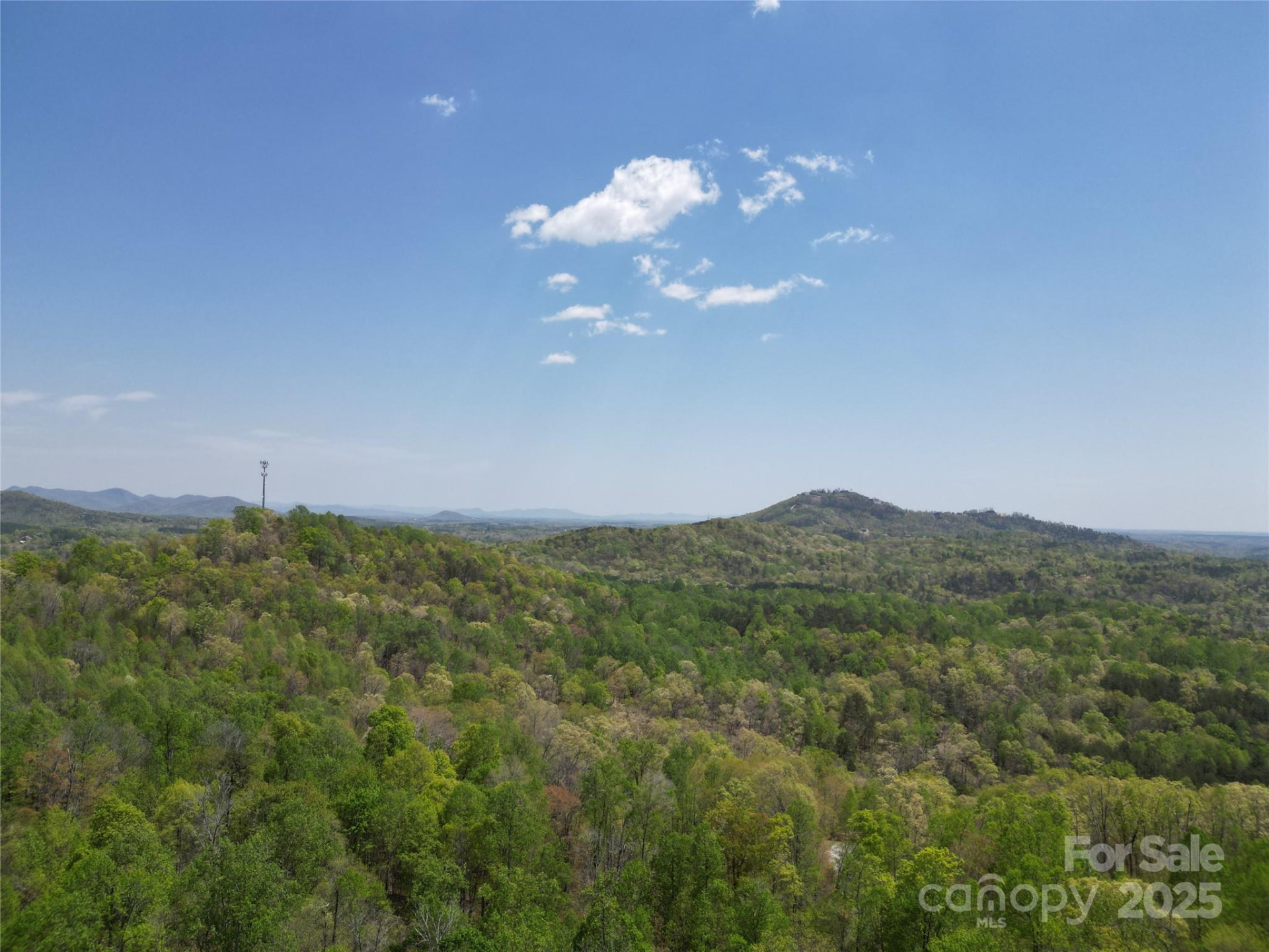 Lot 24 High Rock Ridge - Photo 3