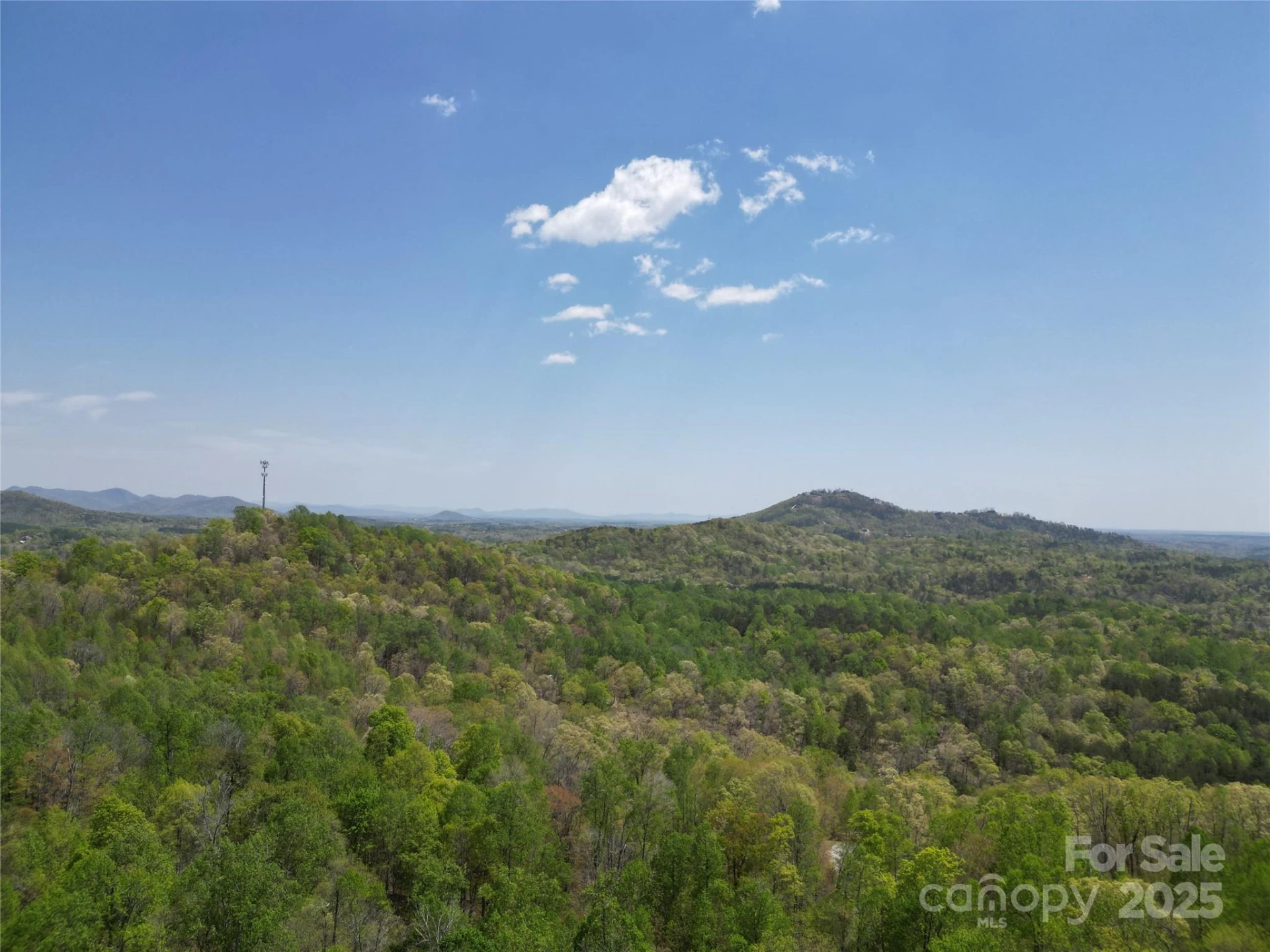 Lot 24 High Rock Ridge - Photo 3