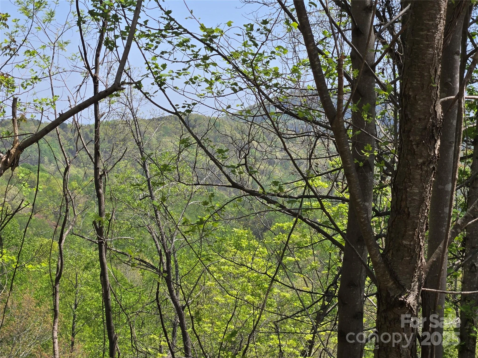 Lot 24 High Rock Ridge - Photo 5