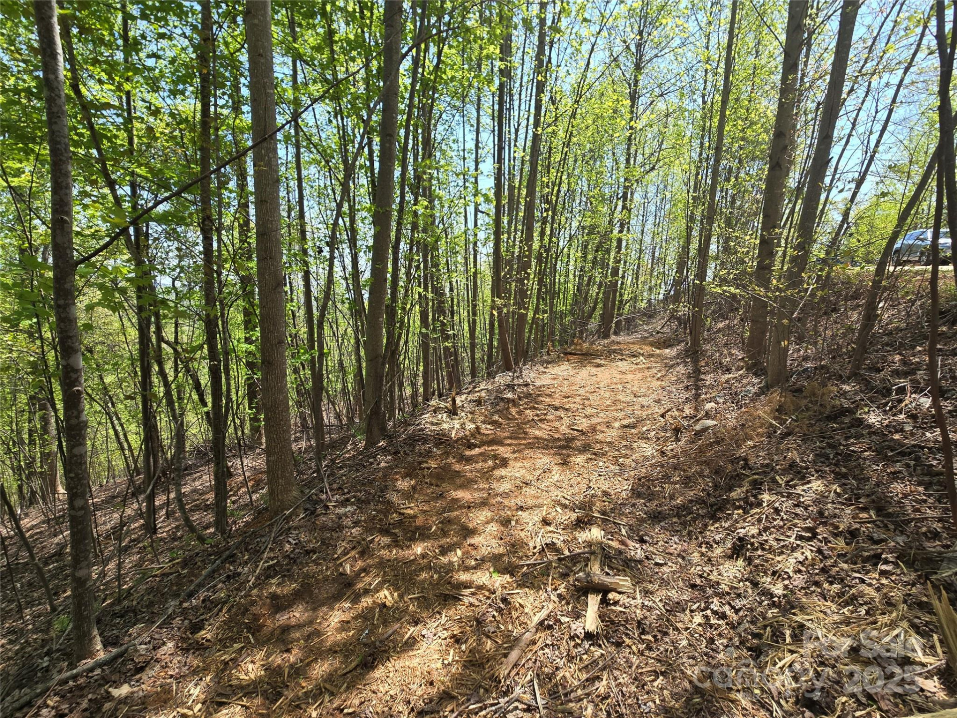 Lot 24 High Rock Ridge - Photo 6