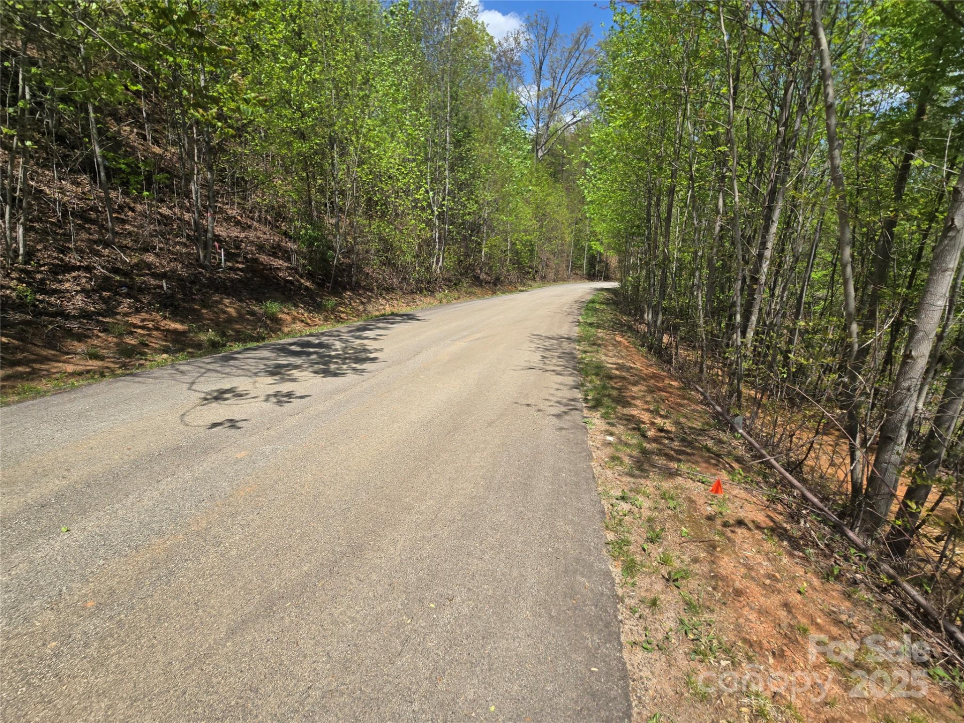 Lot 24 High Rock Ridge - Photo 7