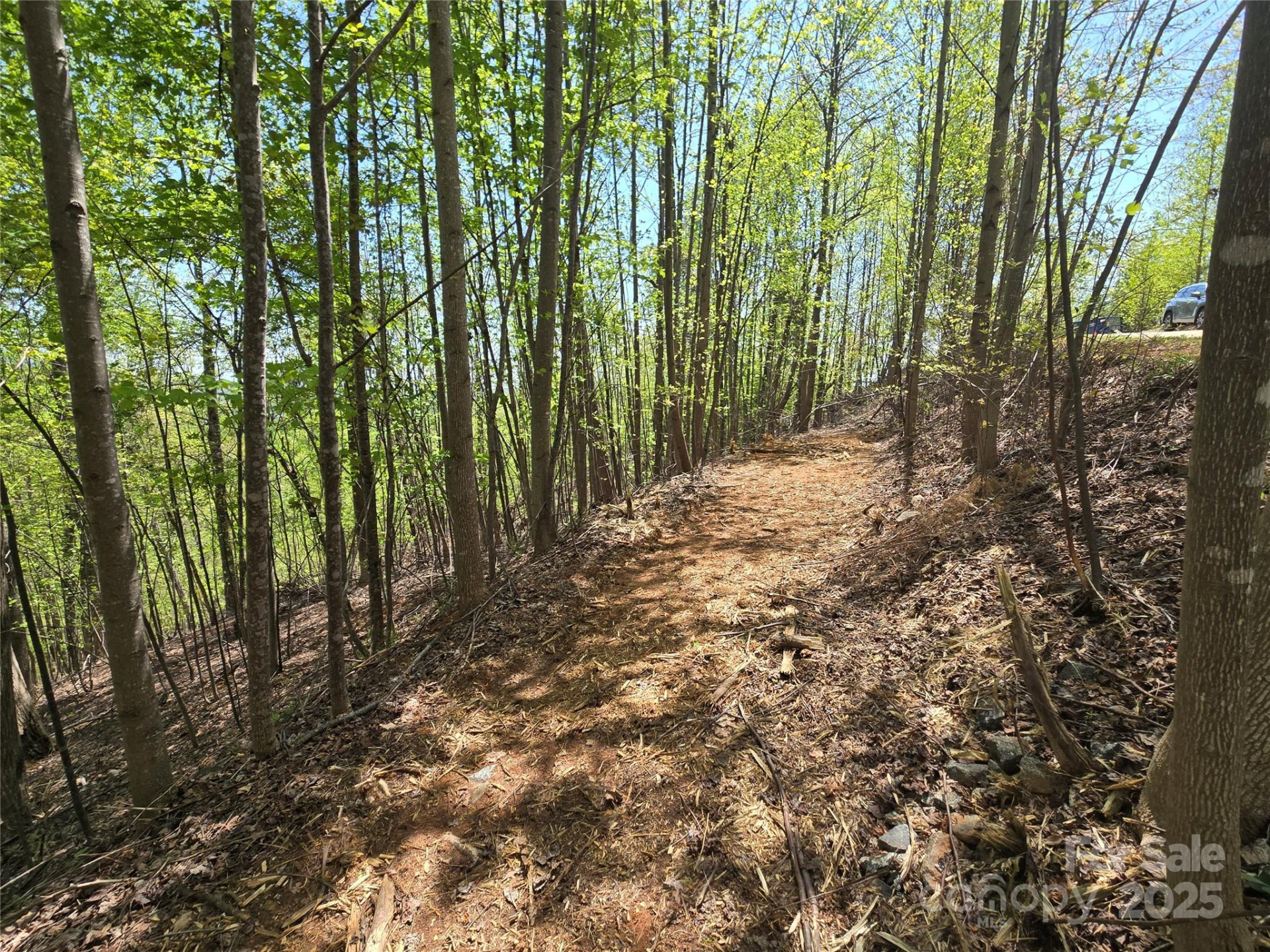 Lot 24 High Rock Ridge - Photo 10