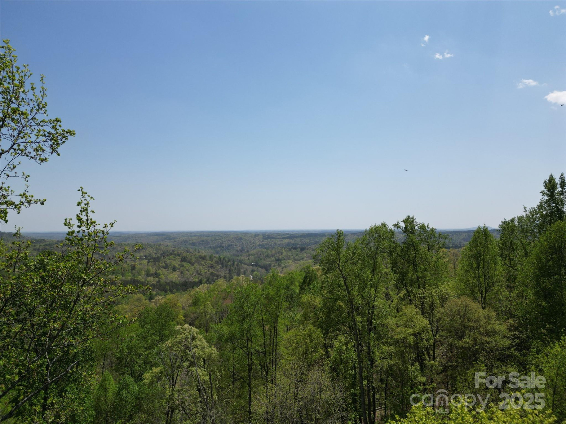 Lot 25 High Rock Ridge - Photo 2
