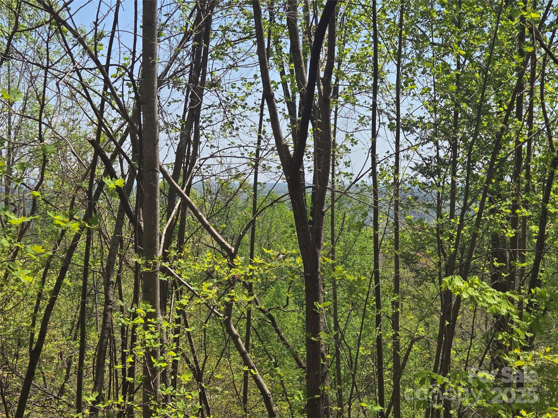 Lot 25 High Rock Ridge - Photo 11